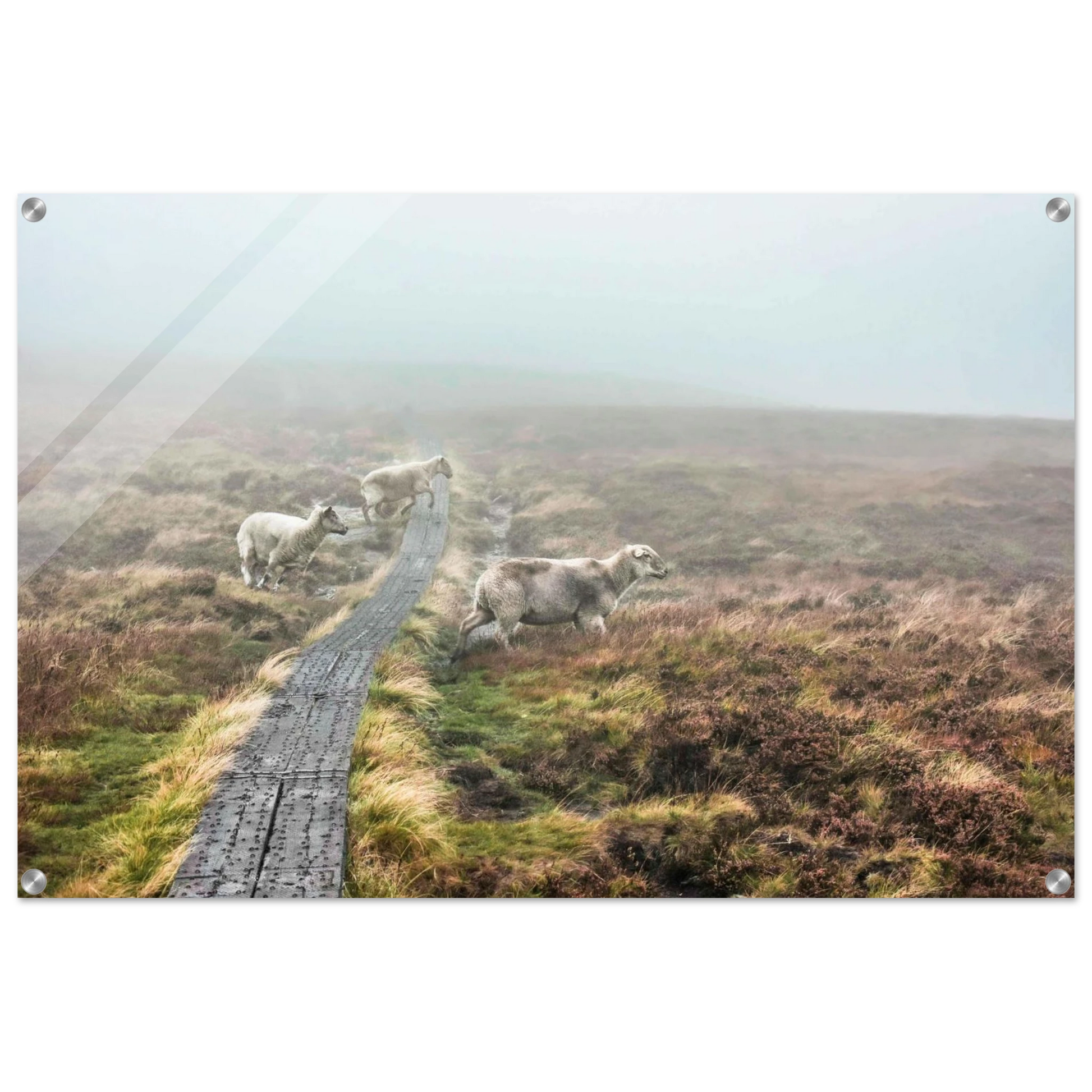 cfd1e8fc-aa86-400f-ade1-6dcdf5da6147