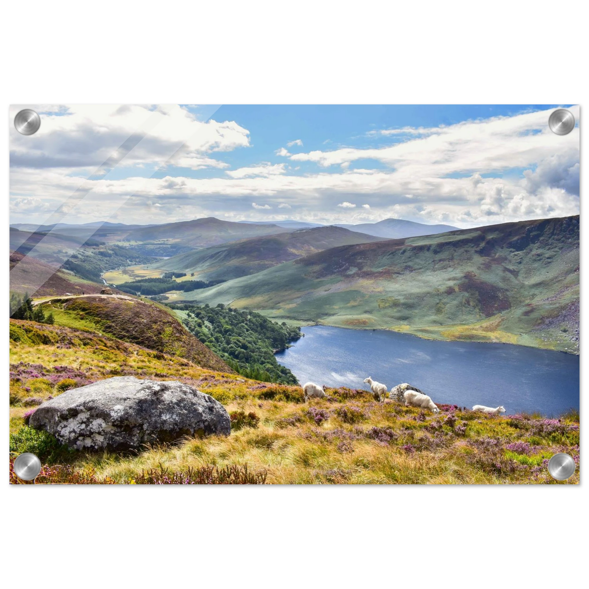 cfece1a3-c625-4e71-8c97-4d29282e1b29