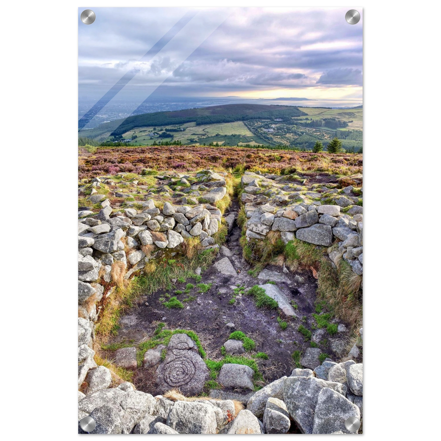 d038e1d8-a860-4bee-84f4-4291fc760534