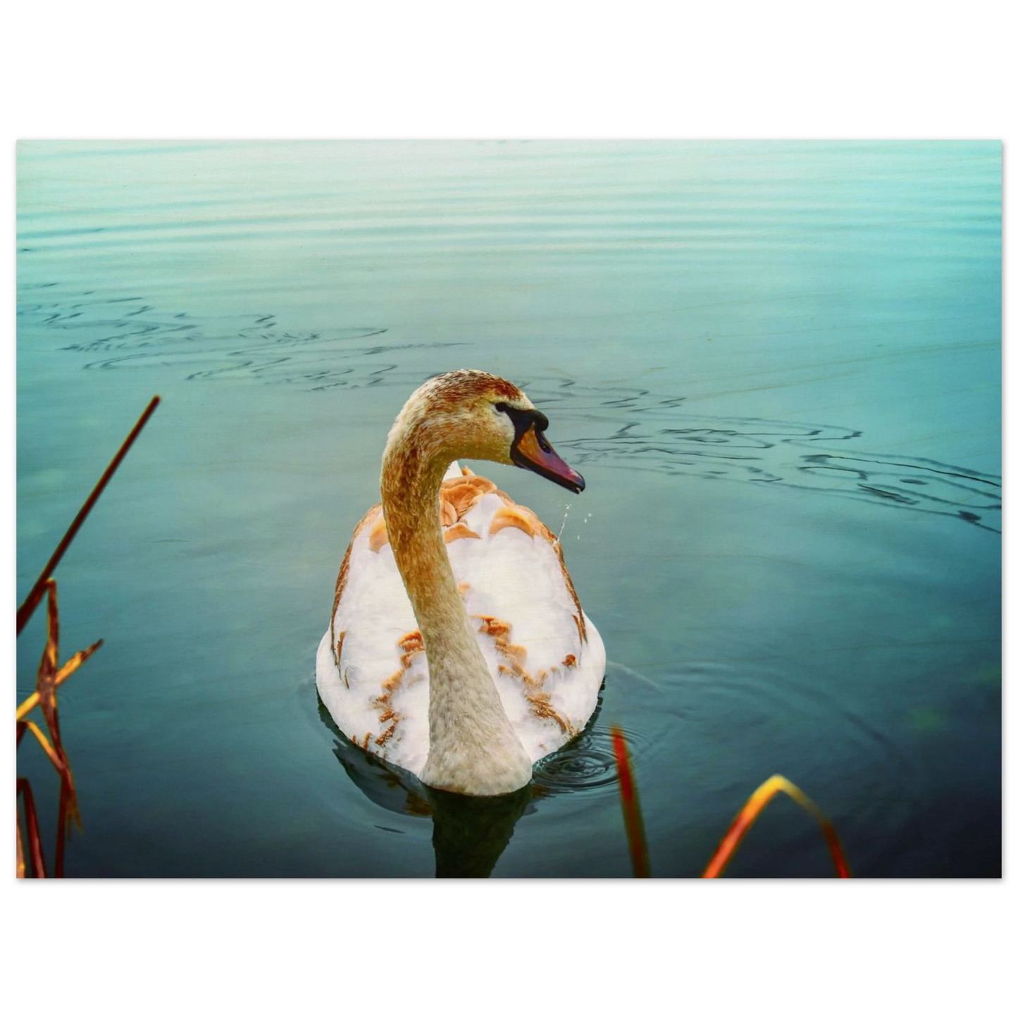 d049dce4-5312-4e2b-966a-2ecc8ee07f4e