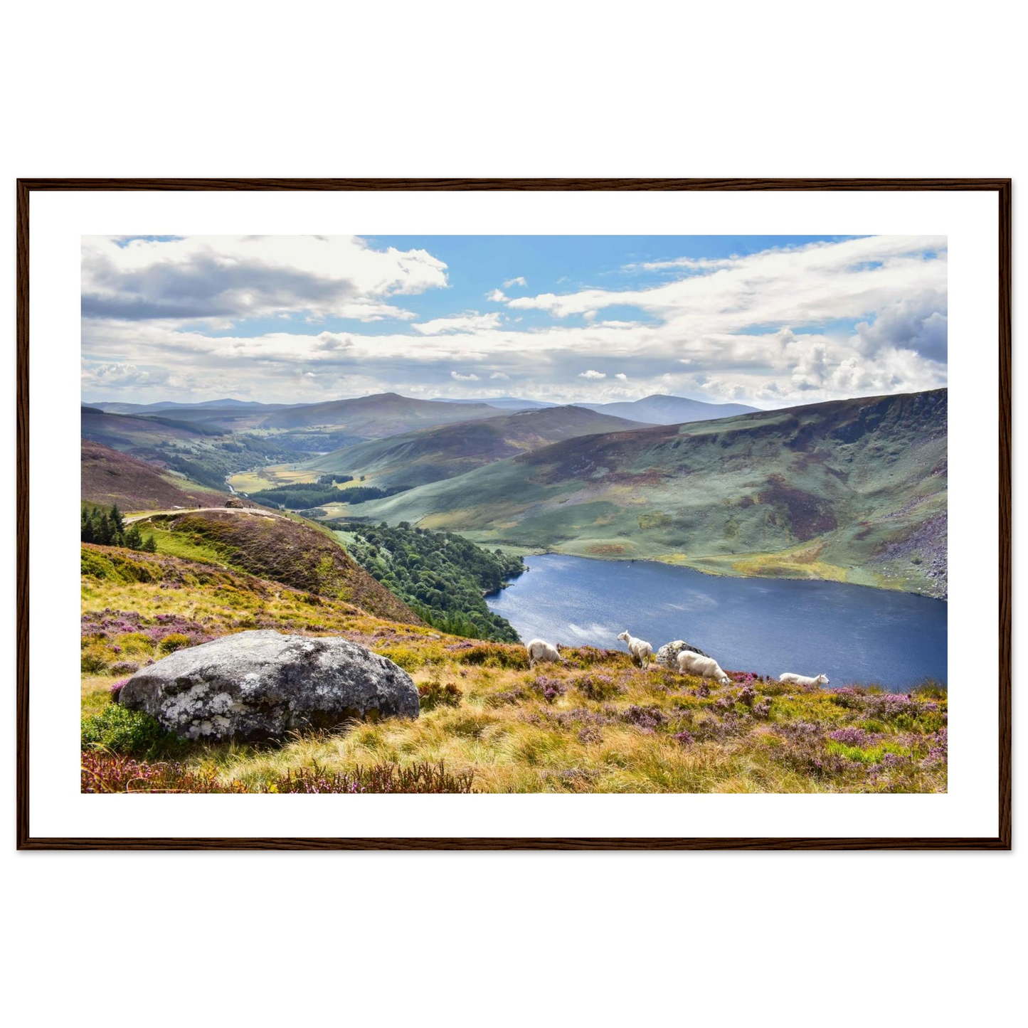 d06f43d8-c1ae-4d82-b412-b8e458962bf1