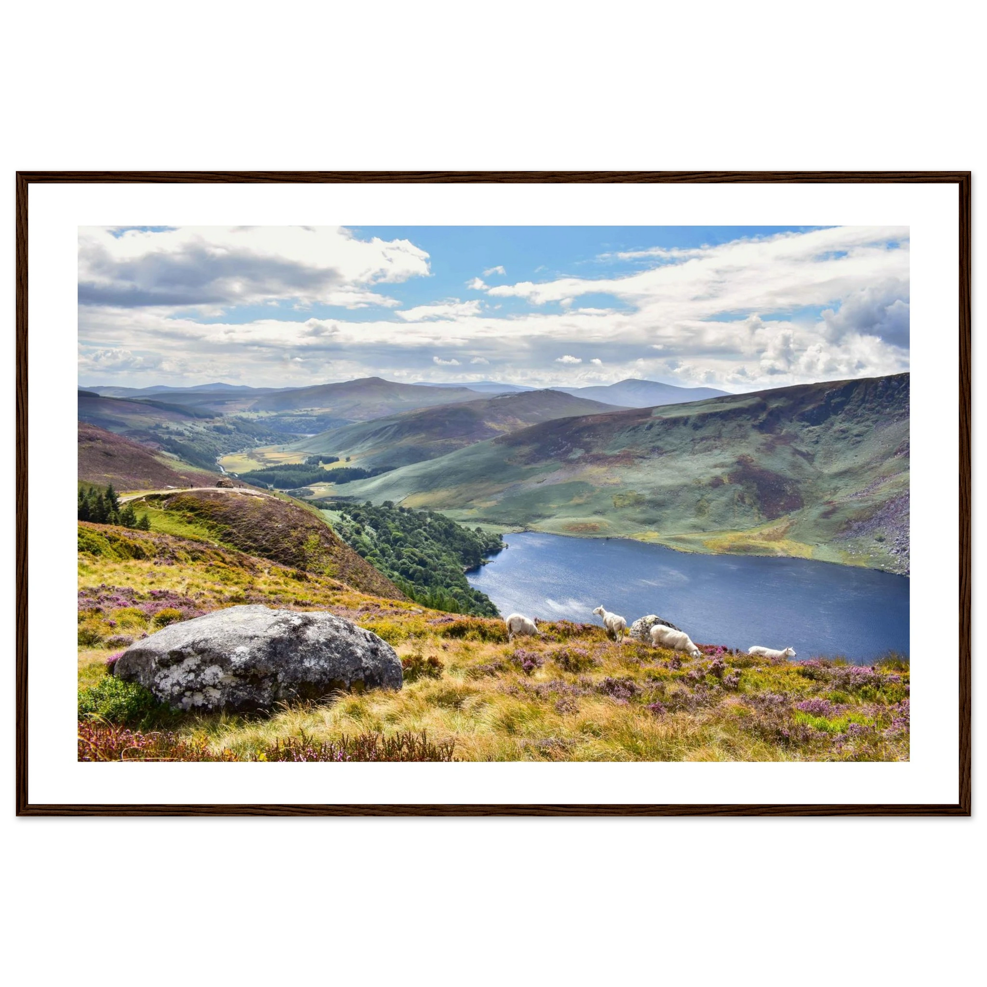 d06f43d8-c1ae-4d82-b412-b8e458962bf1