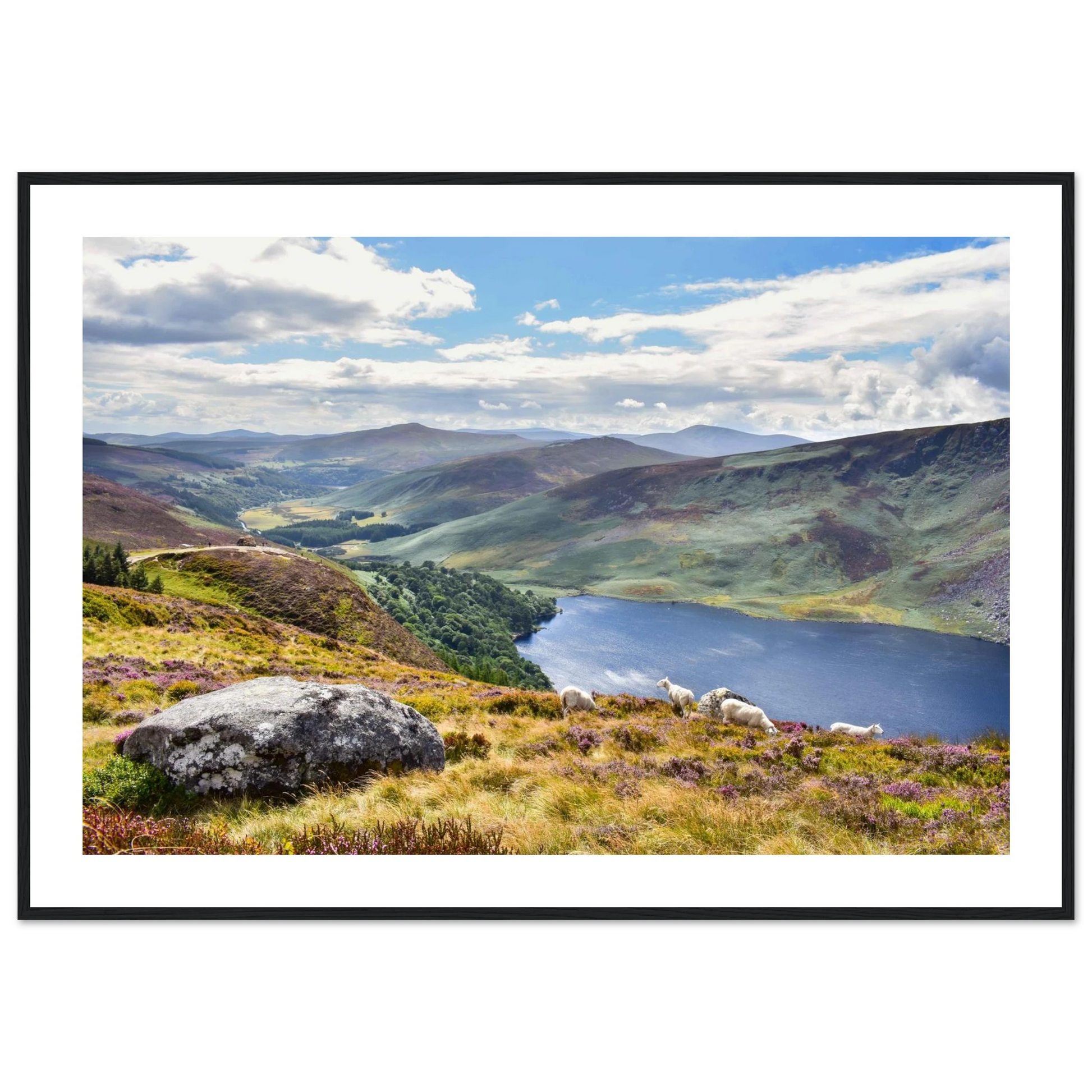 d0962abd-9195-46ef-a11f-ffd8ceebd7c1