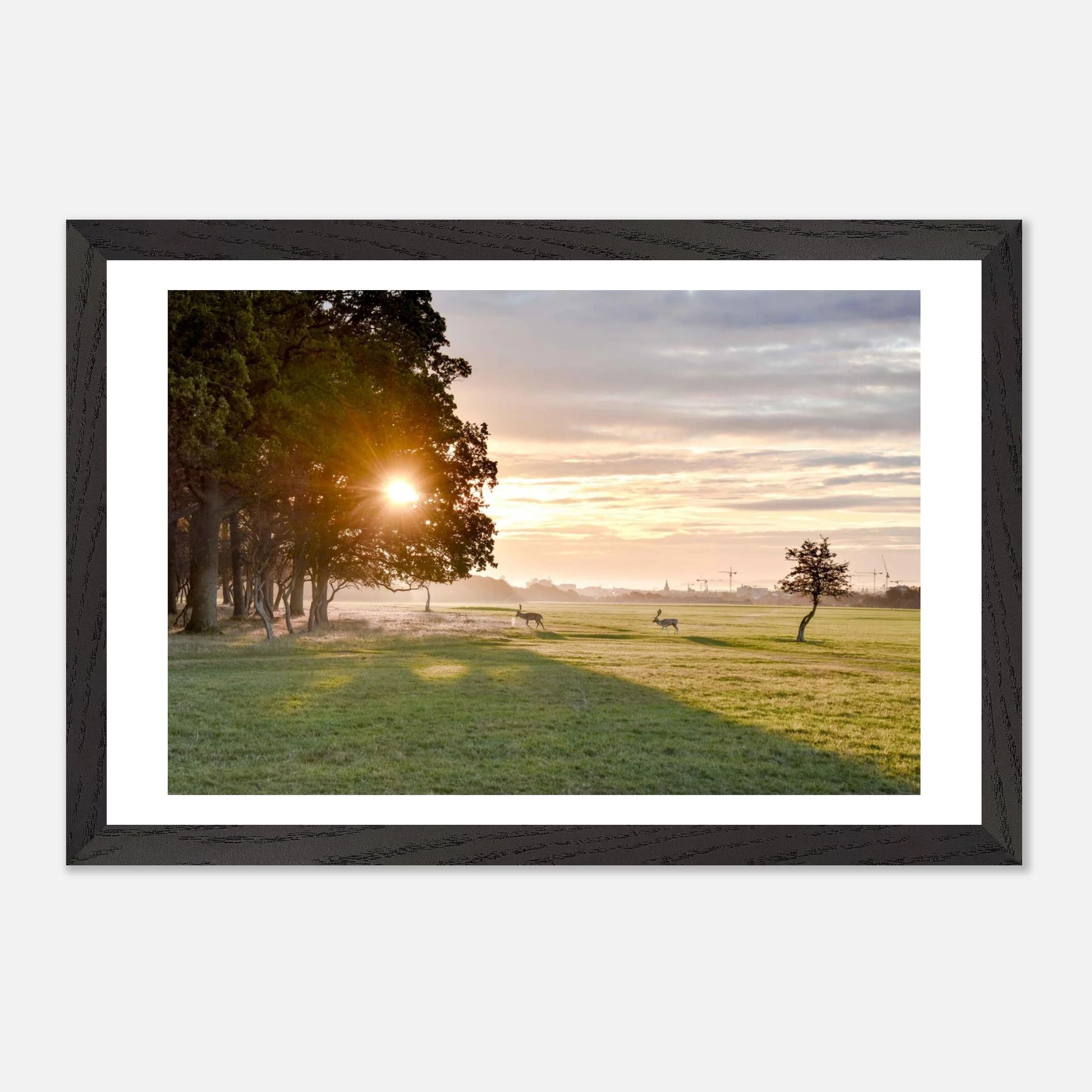 d0eb556d-27ed-4a86-9b44-9056e579eebb