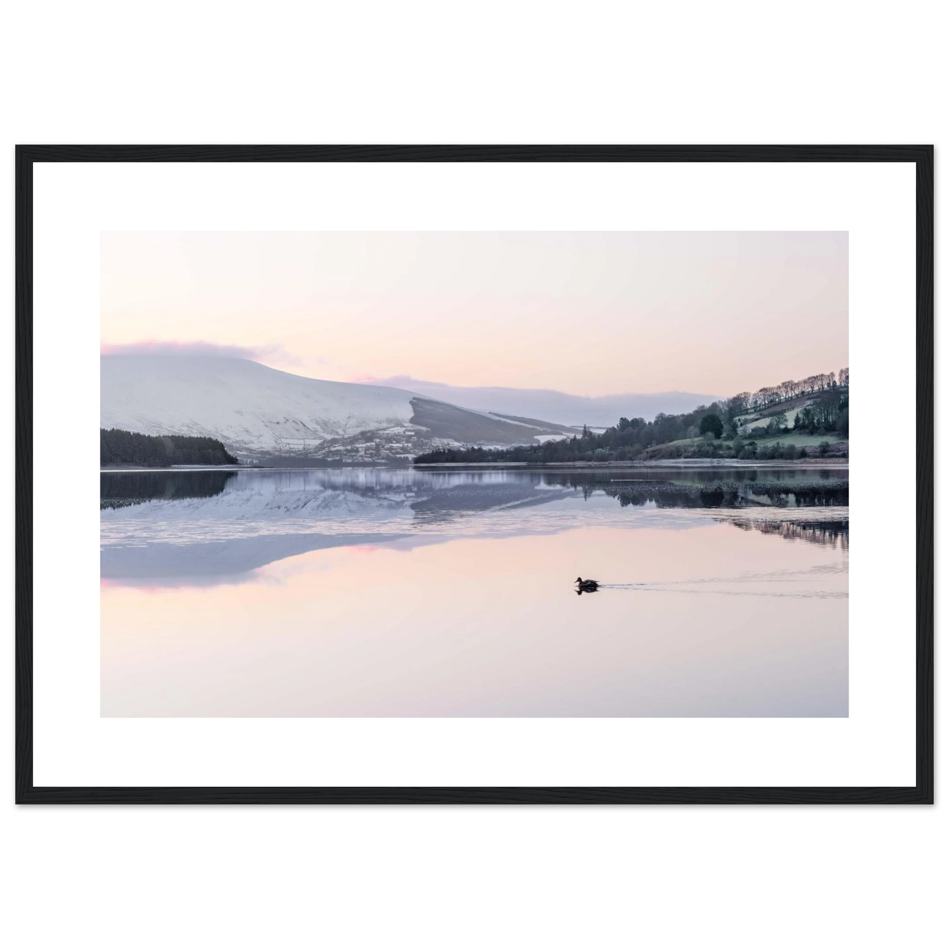 d0f2eaac-74d0-4c7c-9b80-6e6bdec665b8