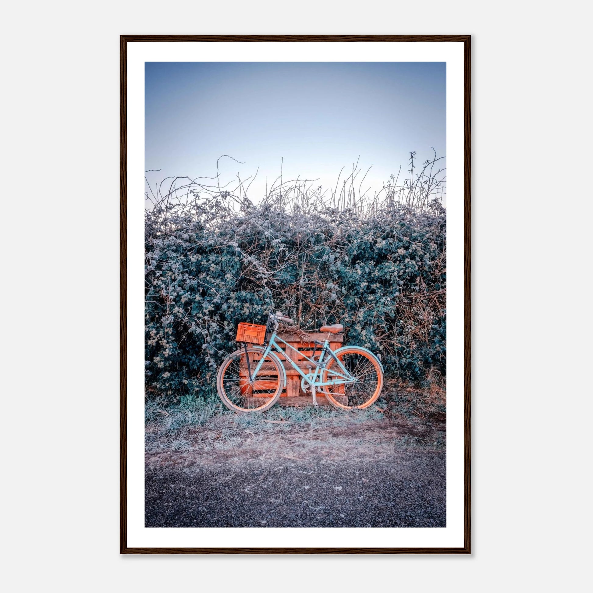 d1547dfc-10ae-4770-87a3-321ff966b7e7