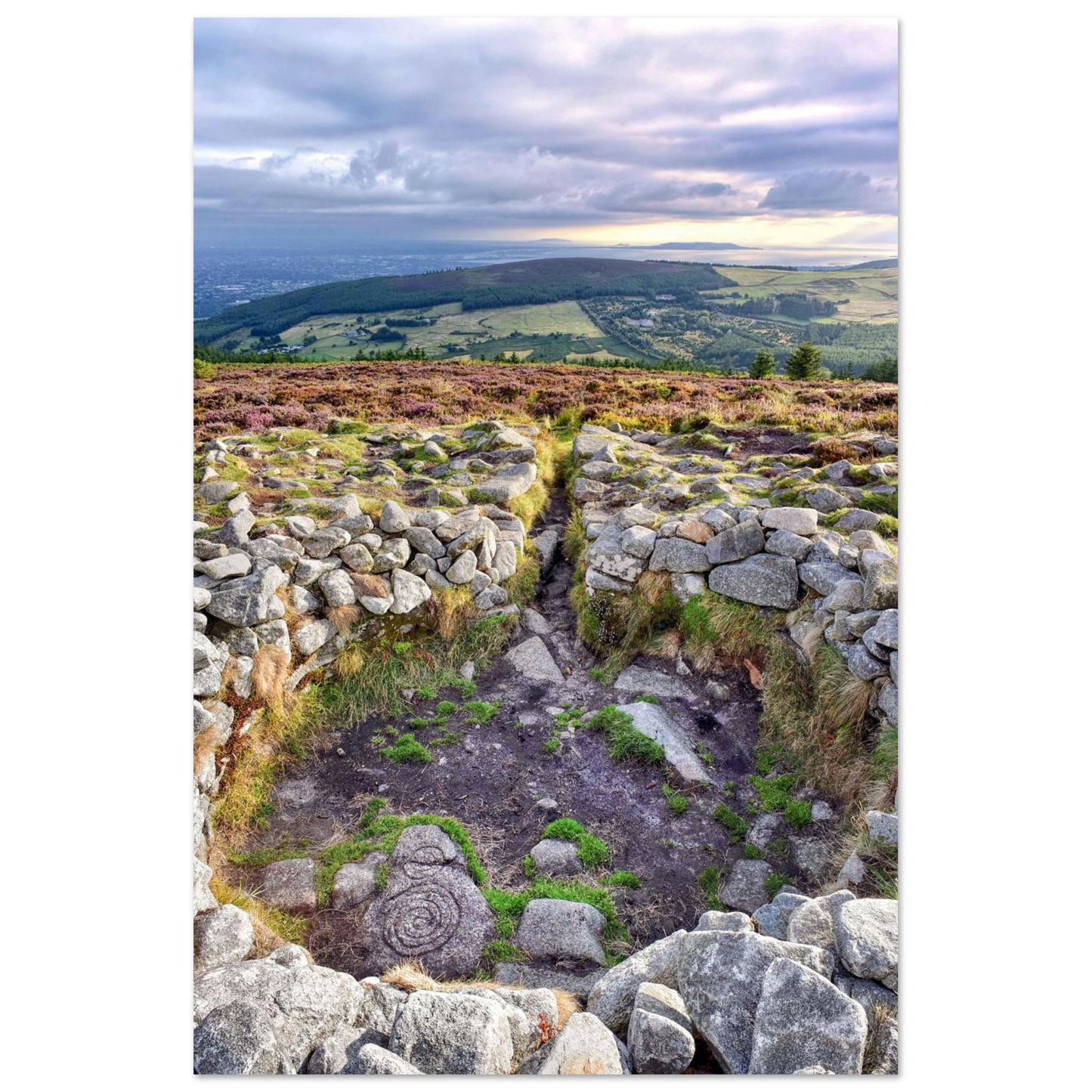 d1720a65-f8a9-42b2-a446-62fe73a5ddba