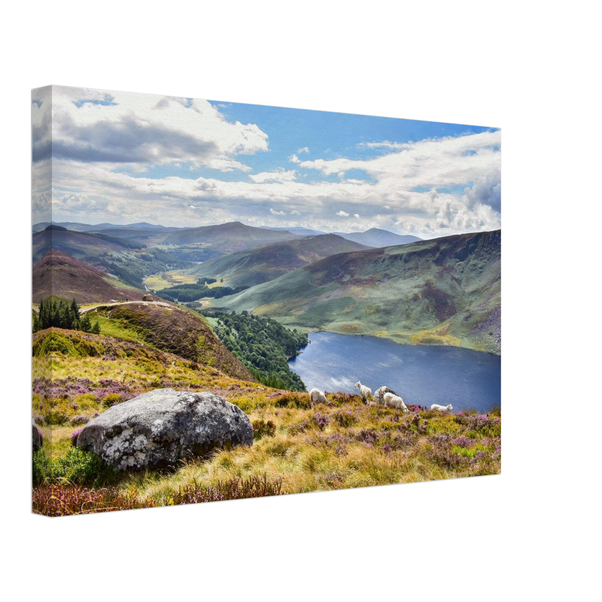 d1eaf144-d20d-4215-97ae-52099d3465bf