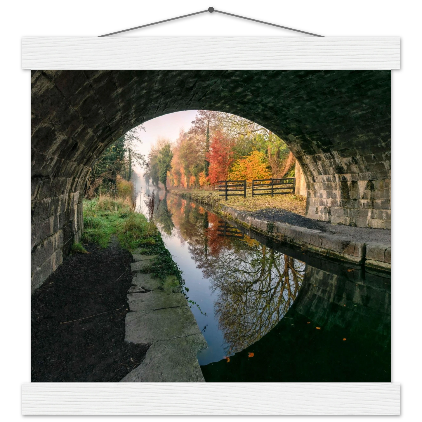 d20247e6-8862-4e39-b229-87ab938b2631