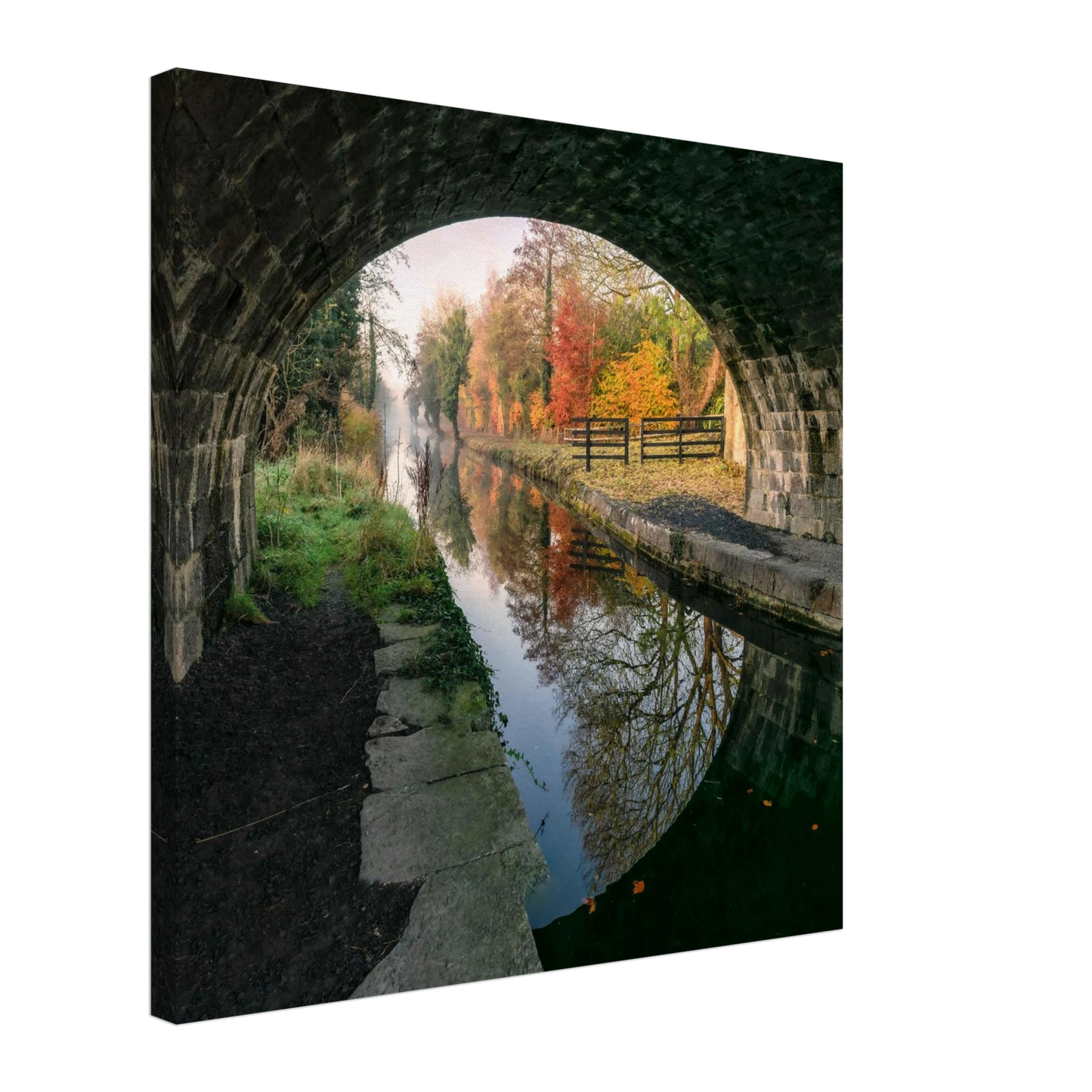 d23714a7-a941-4183-9373-24b60dc89a39