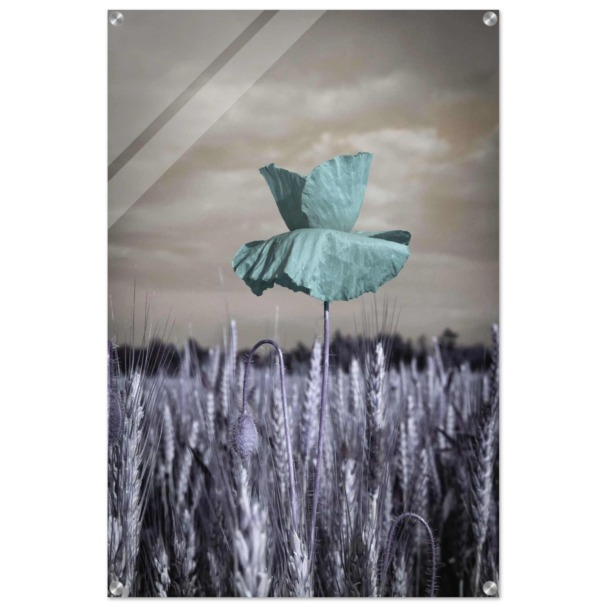 d241eebe-73fd-4f84-b84d-3616ab3995ca