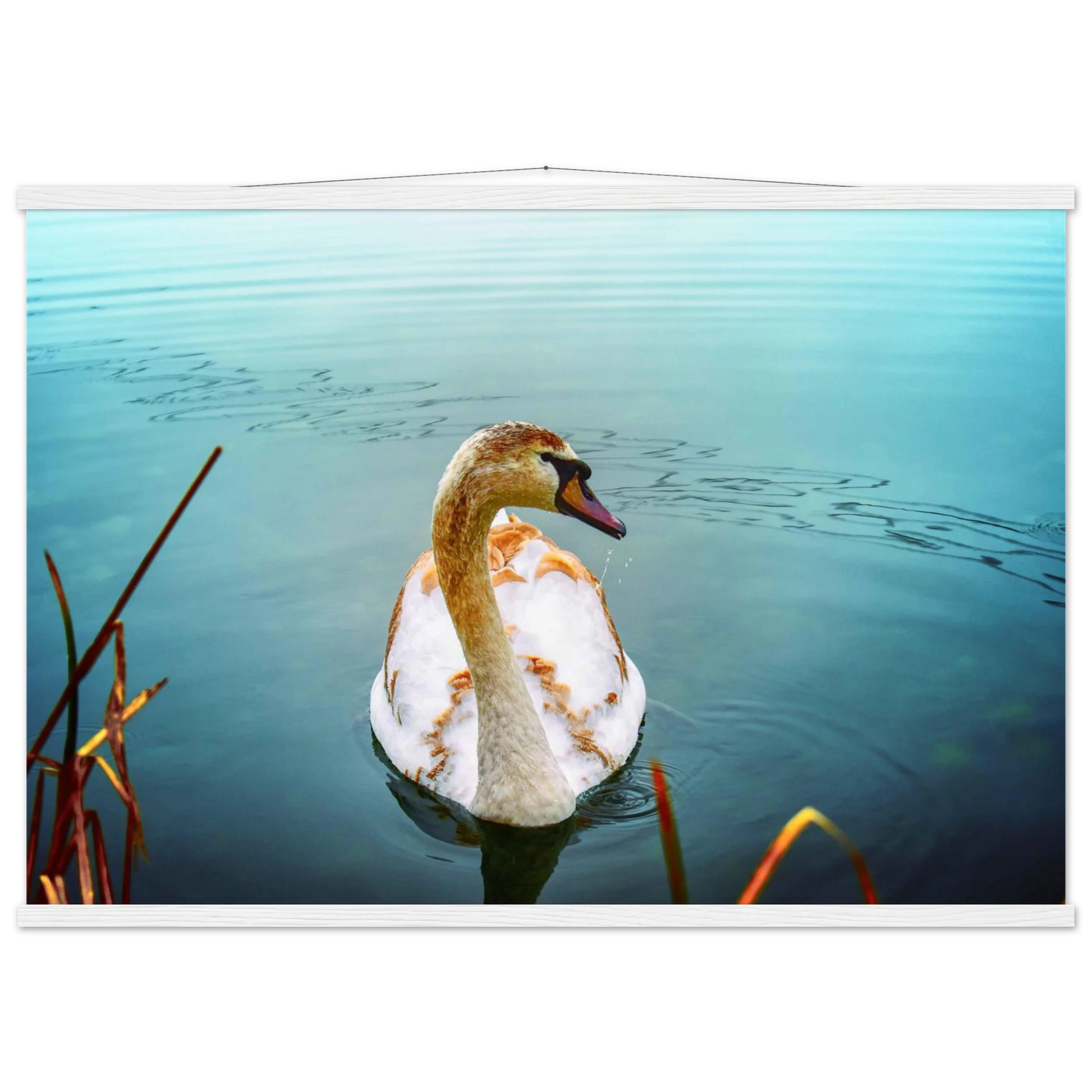 d24ff874-354b-4fd1-a492-7a50cde6f077