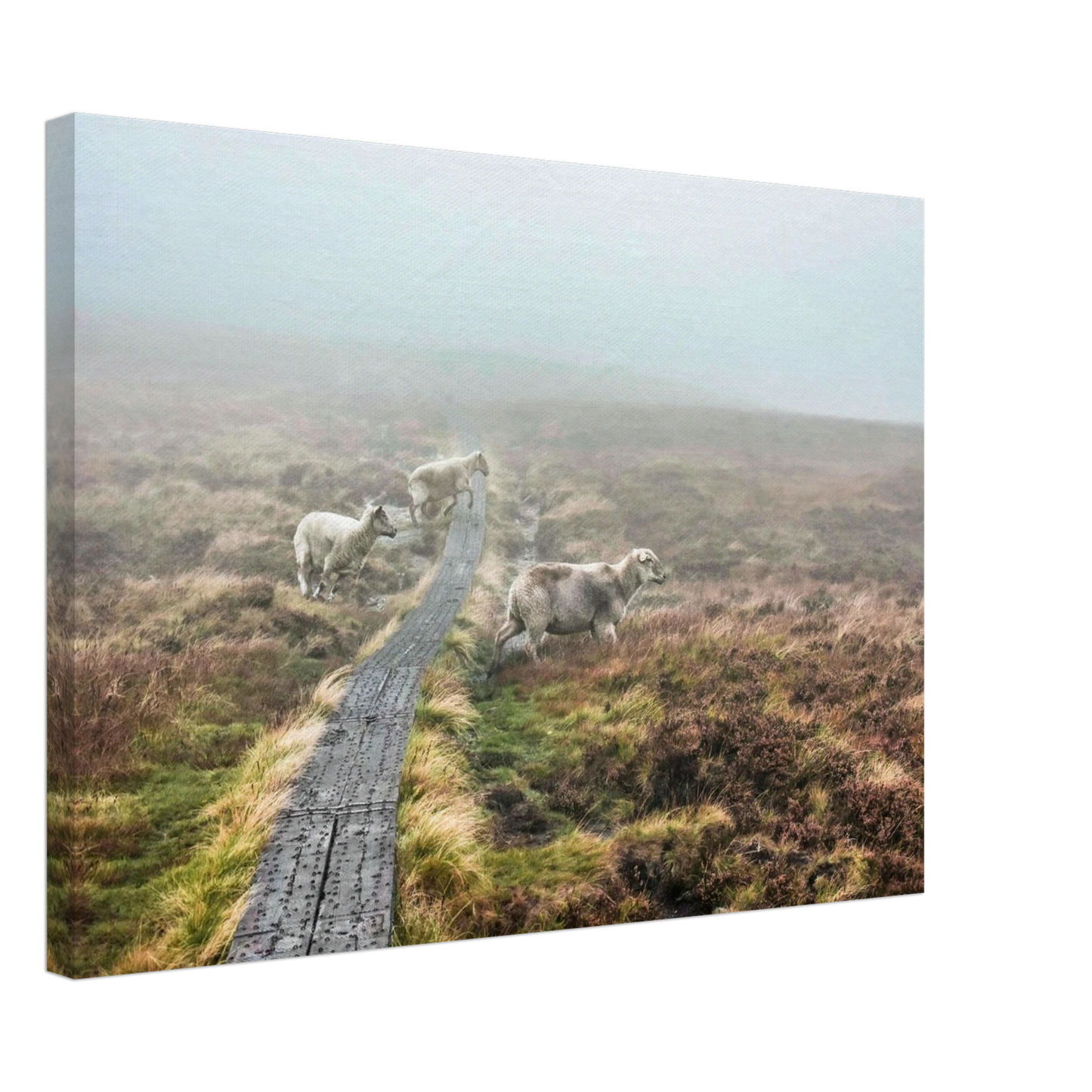 d271806e-6788-4dc0-b22a-0b48edbfb456