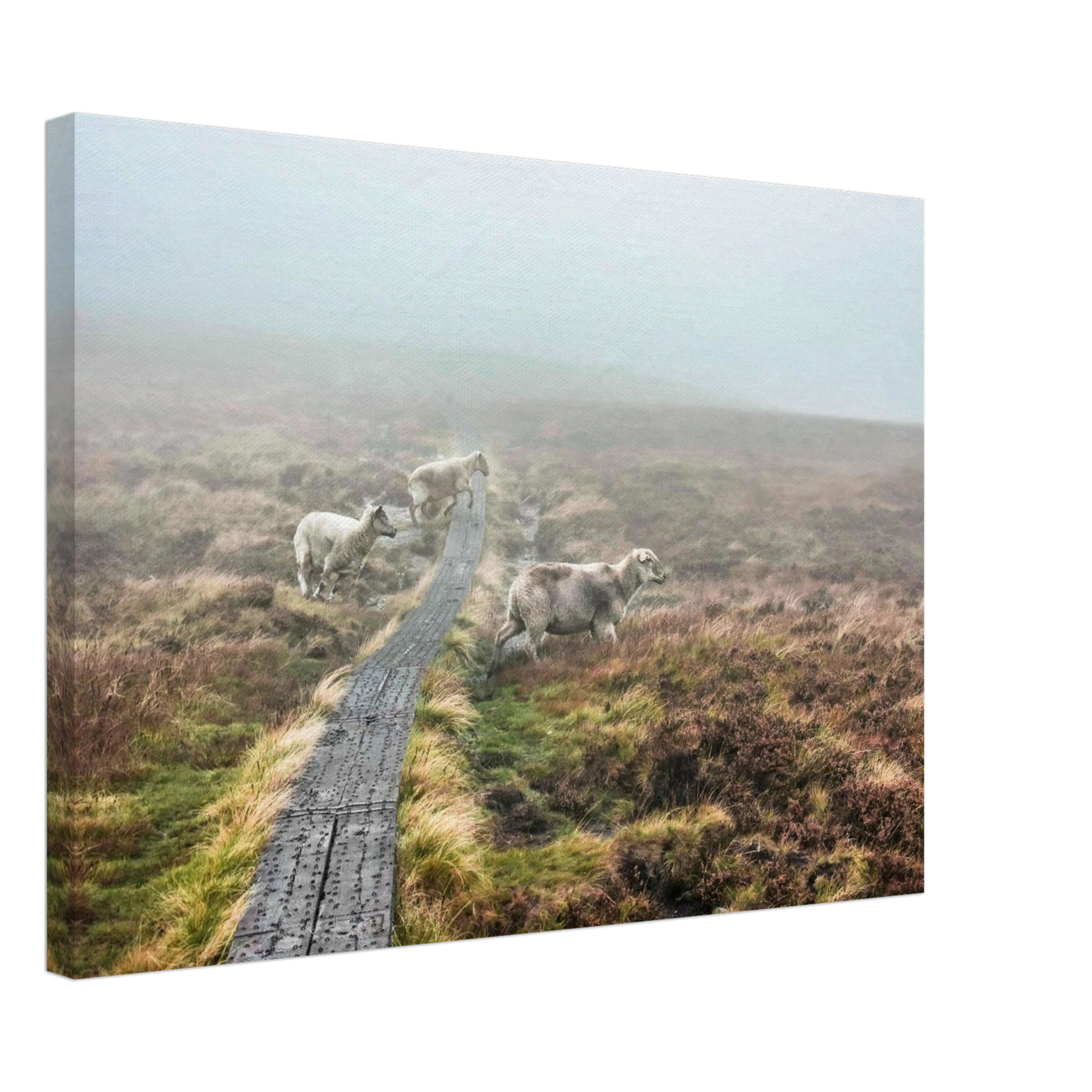 d271806e-6788-4dc0-b22a-0b48edbfb456