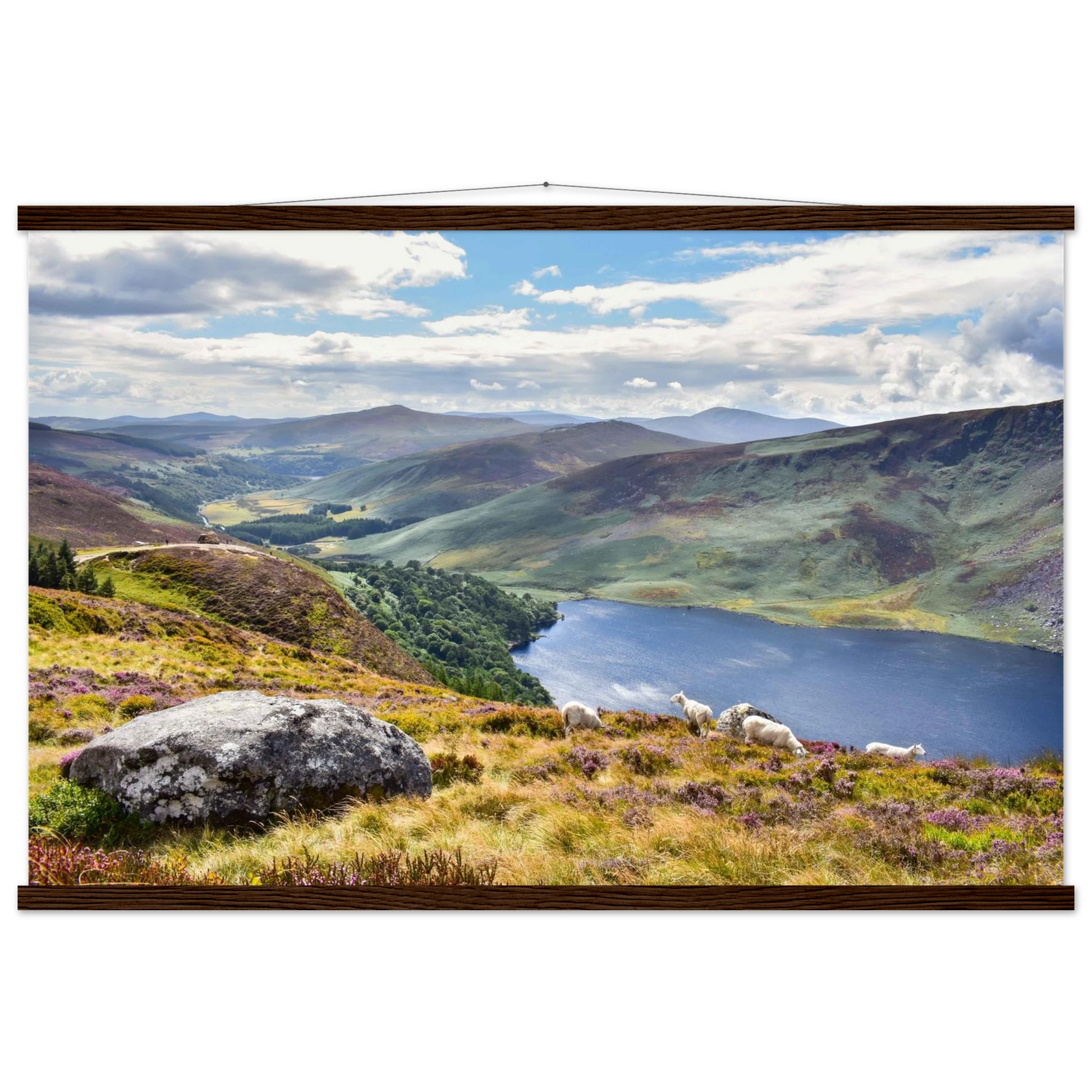 d2d85623-1bd2-4dc0-898e-316820072bd8