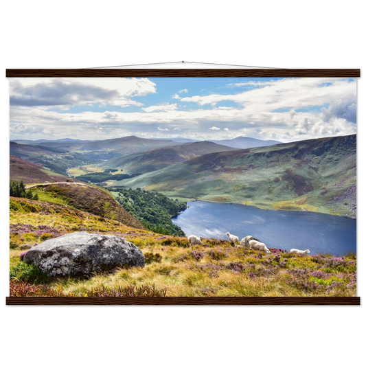 d2d85623-1bd2-4dc0-898e-316820072bd8