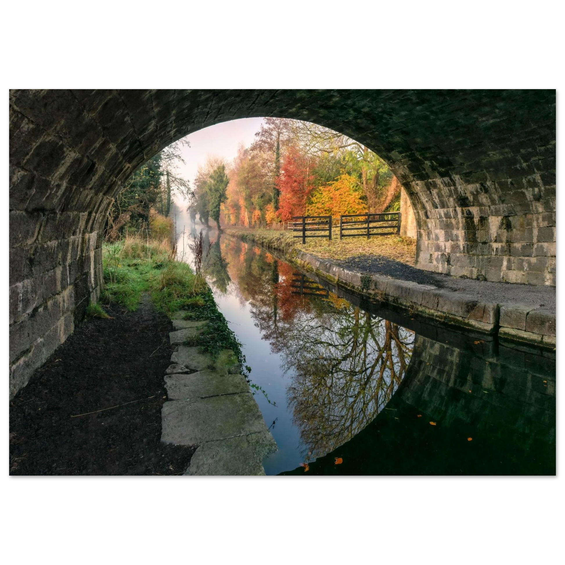 d2dd2802-1a38-4f77-ab04-f59806f0f8a4