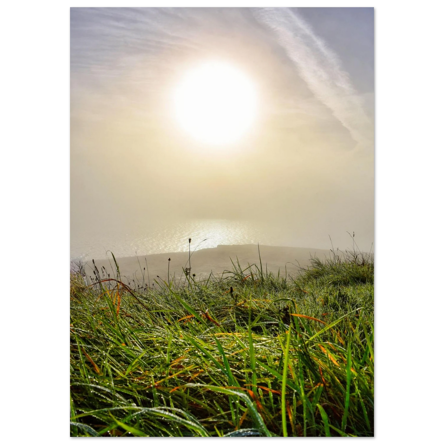 d2e2645c-47aa-4394-a26d-d9e5a81822e7