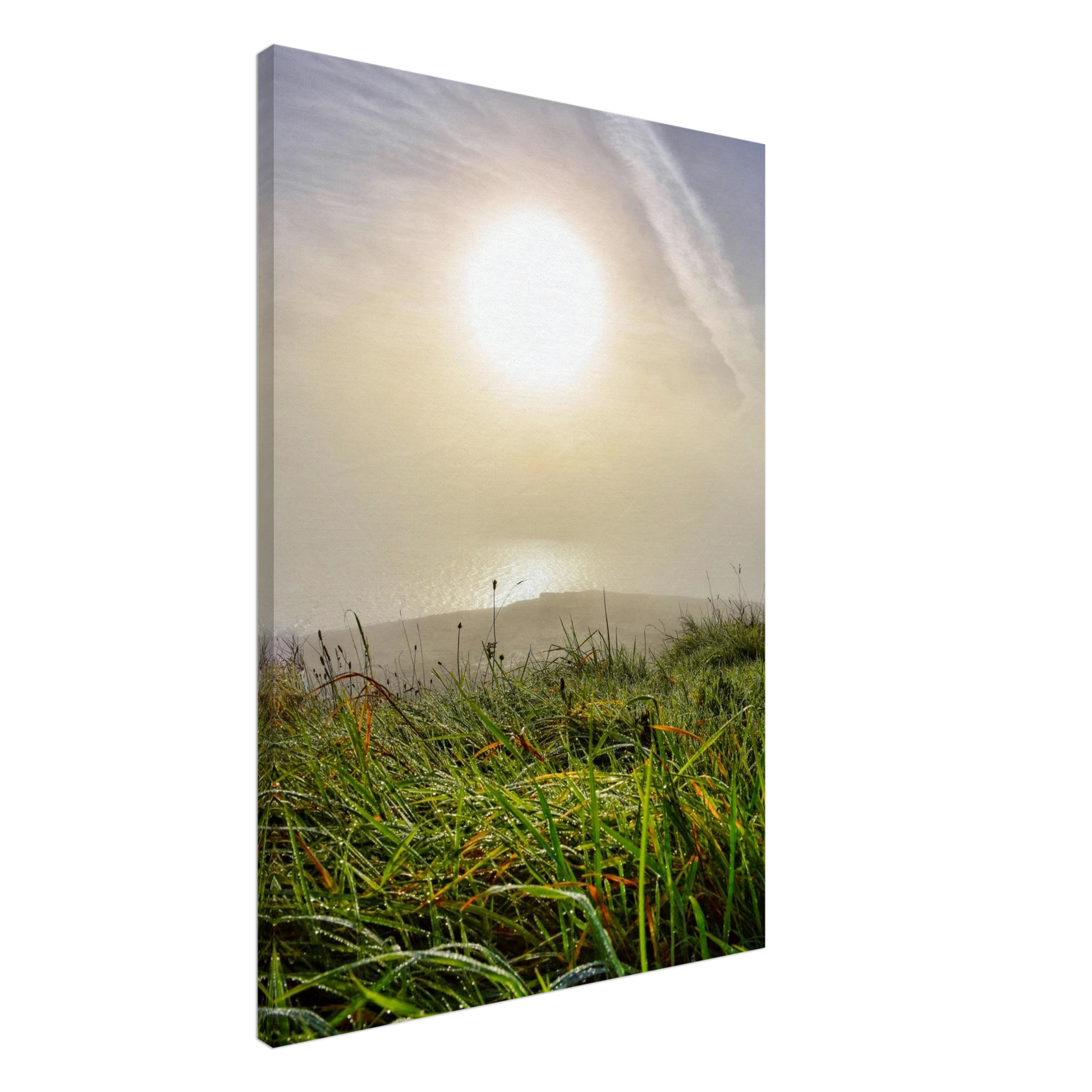 d2e30adf-d9e9-47c0-85e5-3c2754ebea37