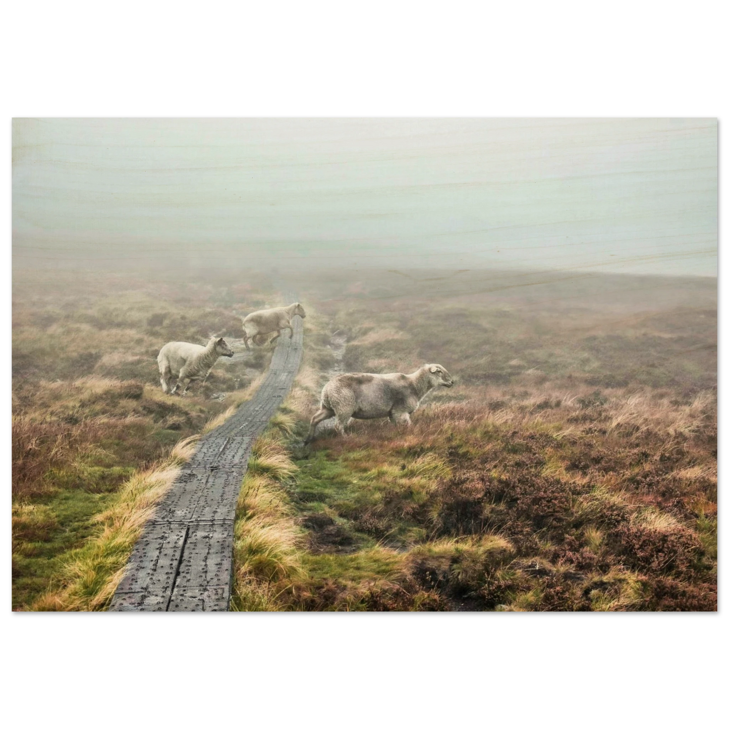 d2f05726-46e5-4b47-9f33-113f408db1e7