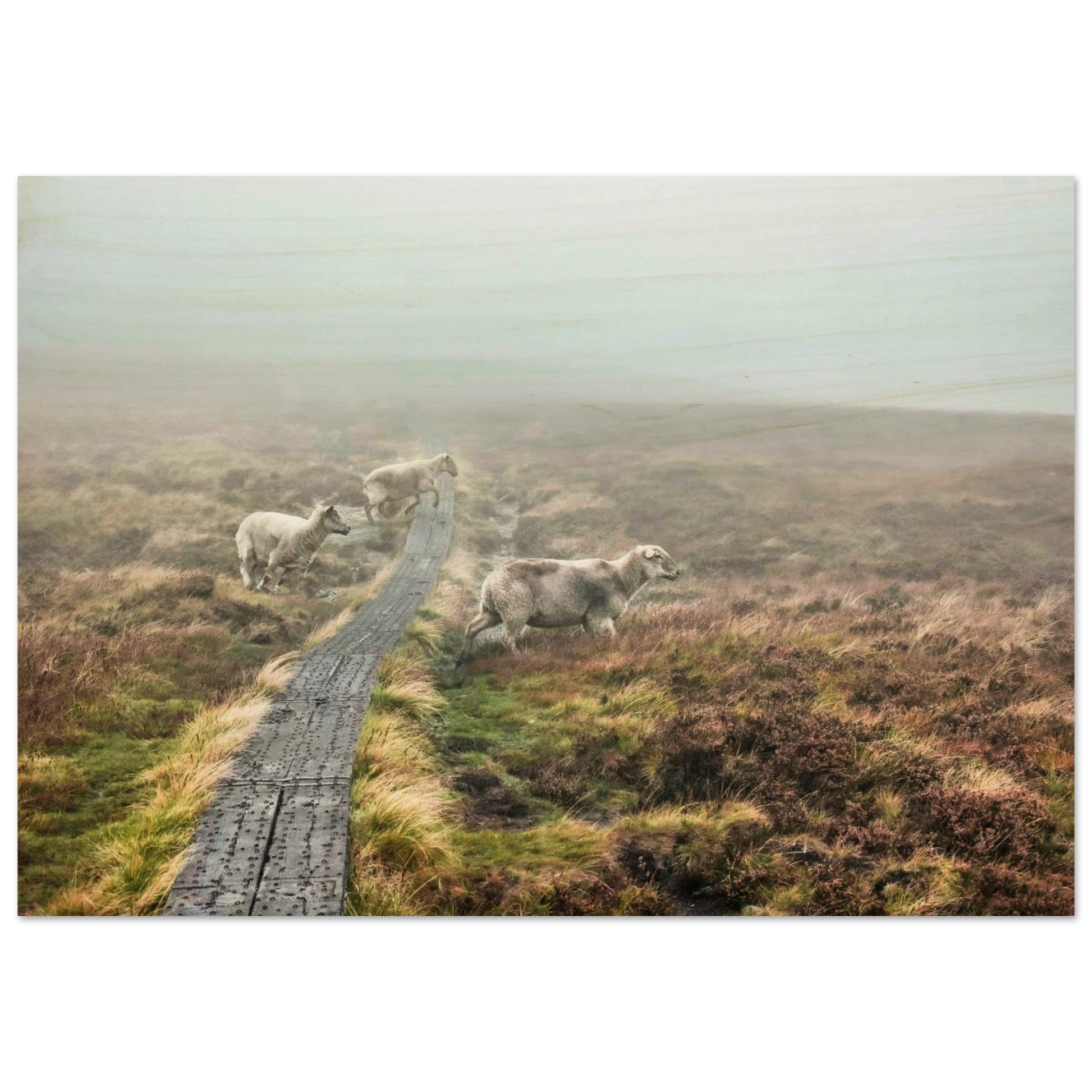 d2f05726-46e5-4b47-9f33-113f408db1e7