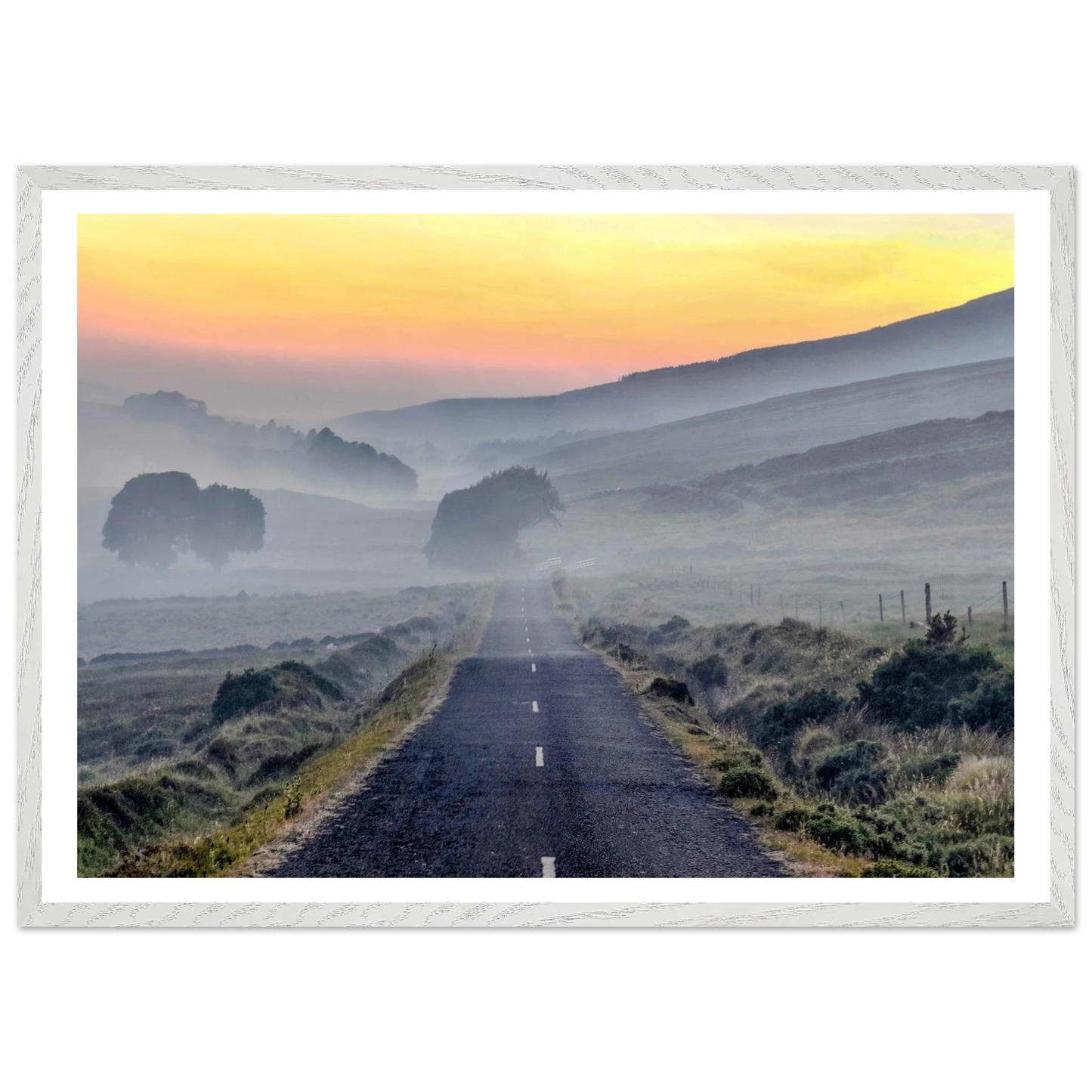 d342b69d-3185-4483-9777-5cf3ae62ae35