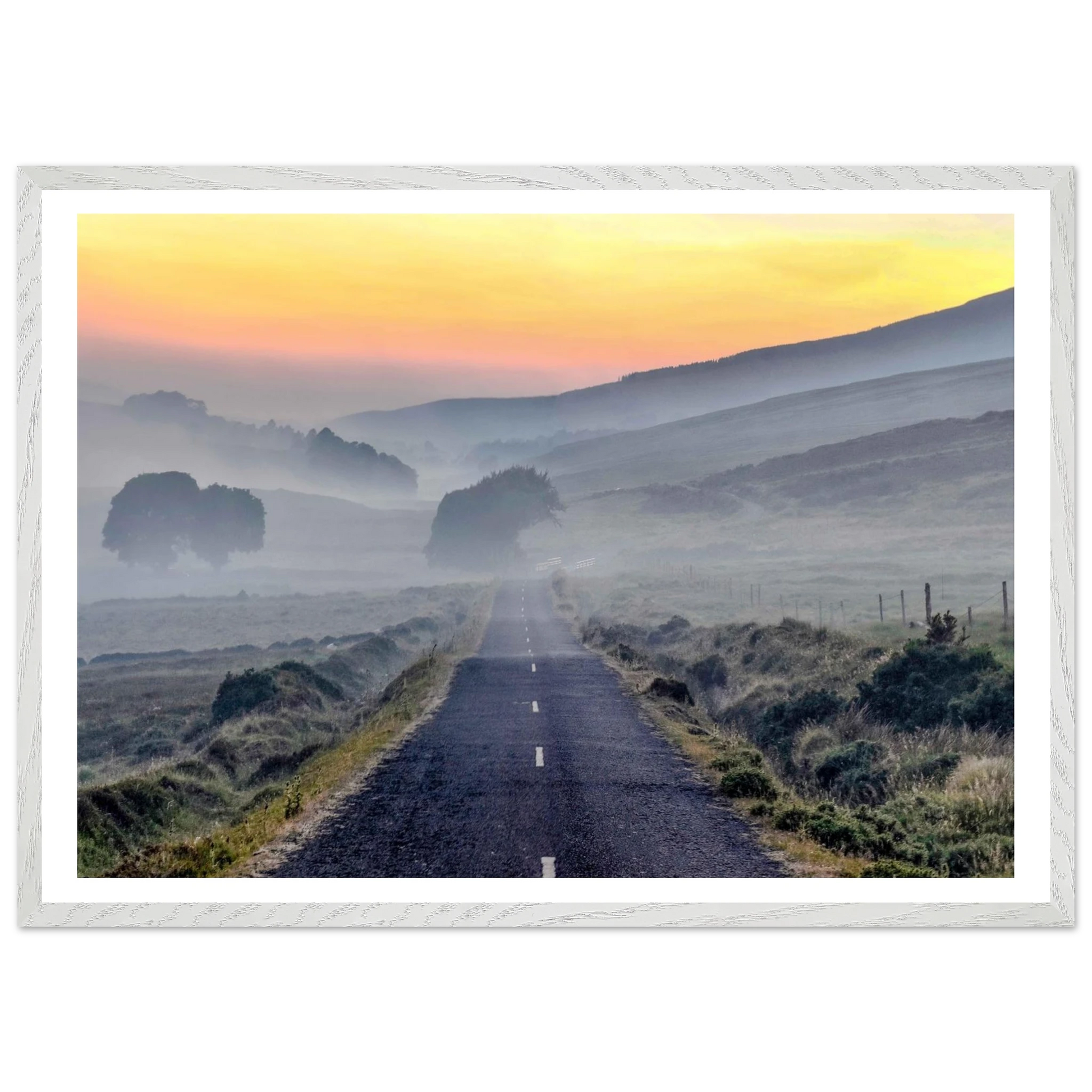 d342b69d-3185-4483-9777-5cf3ae62ae35