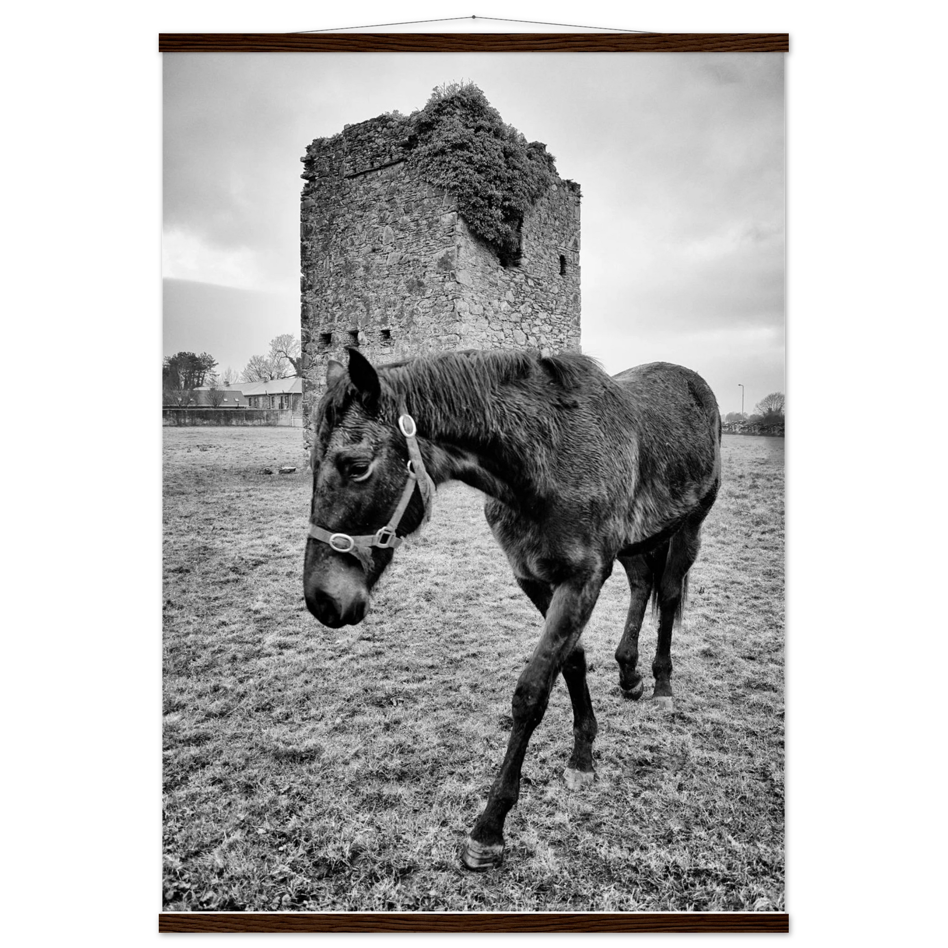 d3740814-0024-4653-84aa-979f5ca50626