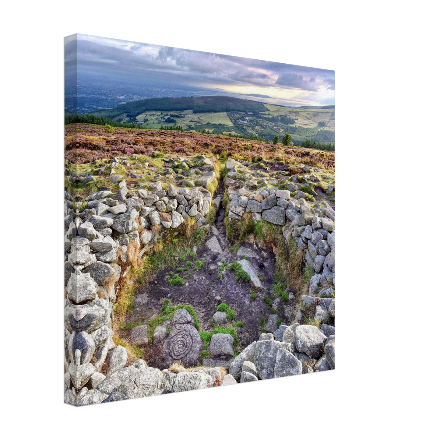 d3774251-bd71-4e88-9e19-d1001d404e63