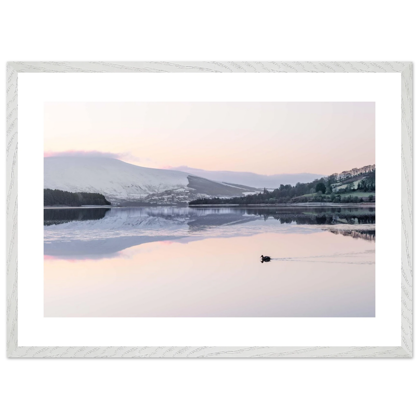 d3bbf6d7-d712-4b93-a269-ef2a249d5af0