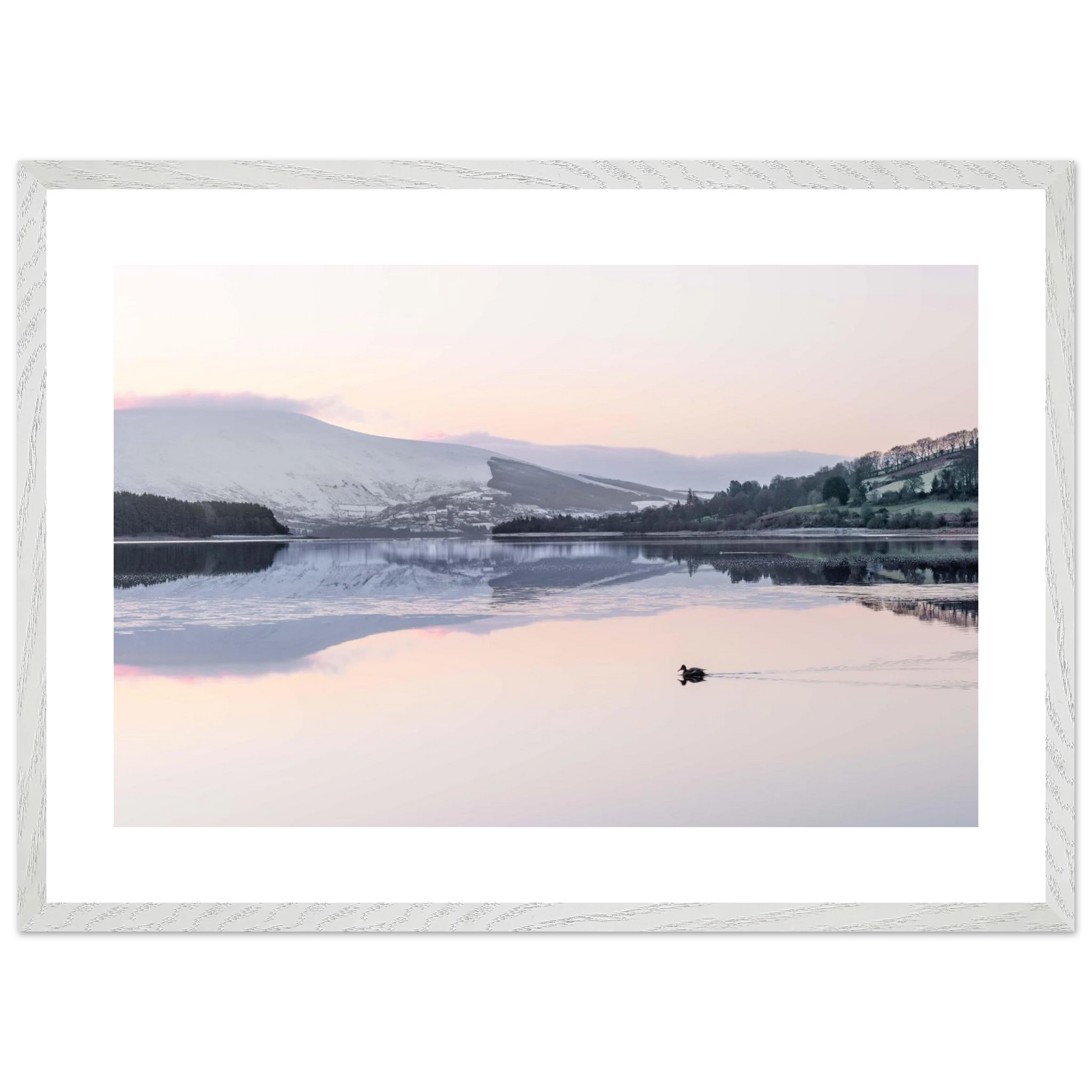 d3bbf6d7-d712-4b93-a269-ef2a249d5af0