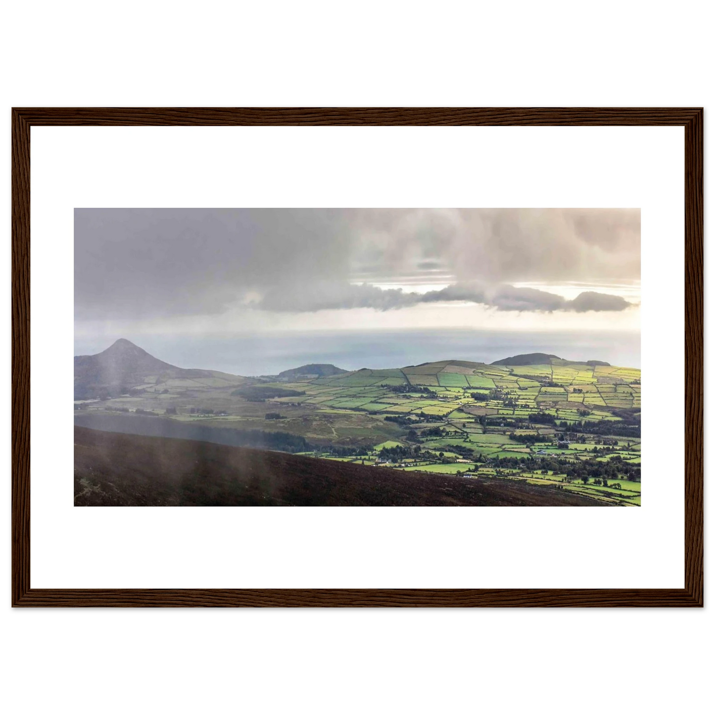 d3c07073-a272-4fbb-9939-04b59a53806f