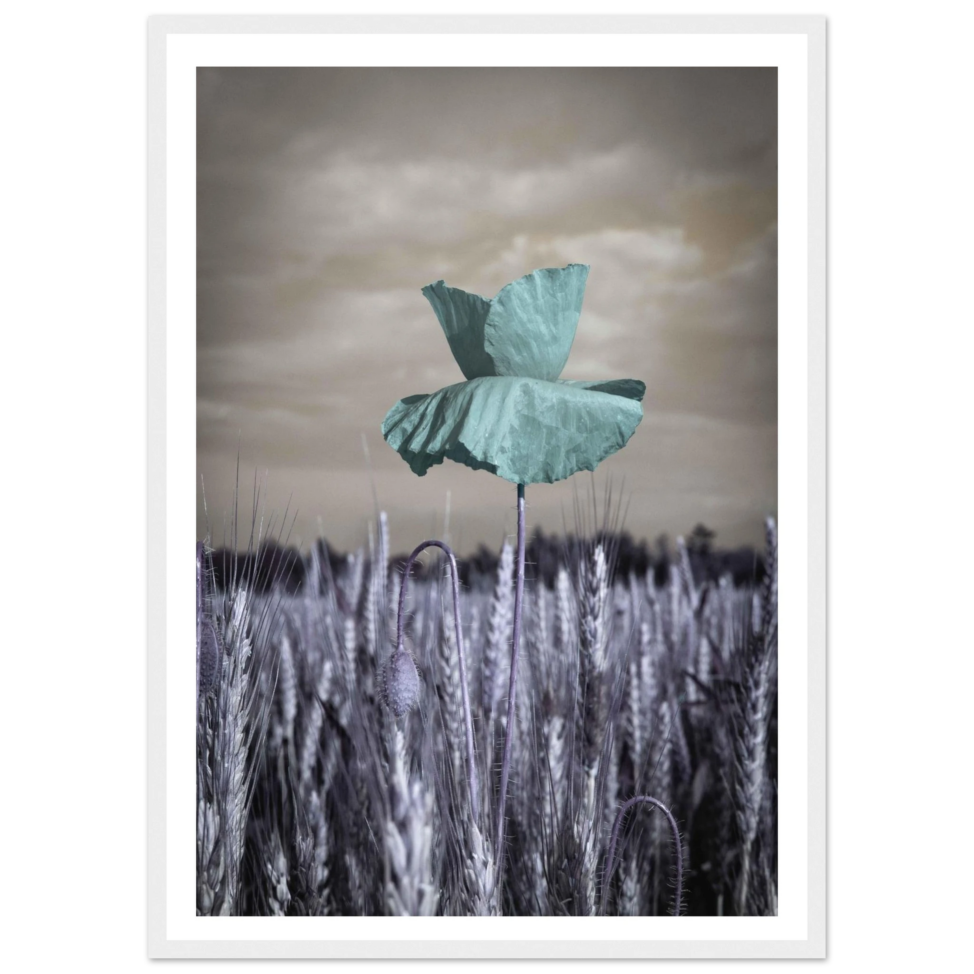 d443a423-cf59-40c7-b97f-02a0cc8a0e92