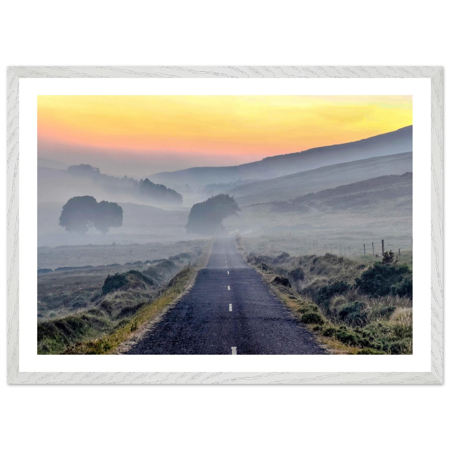 d449098c-fc9d-4a4a-8567-11ea1f268ea3