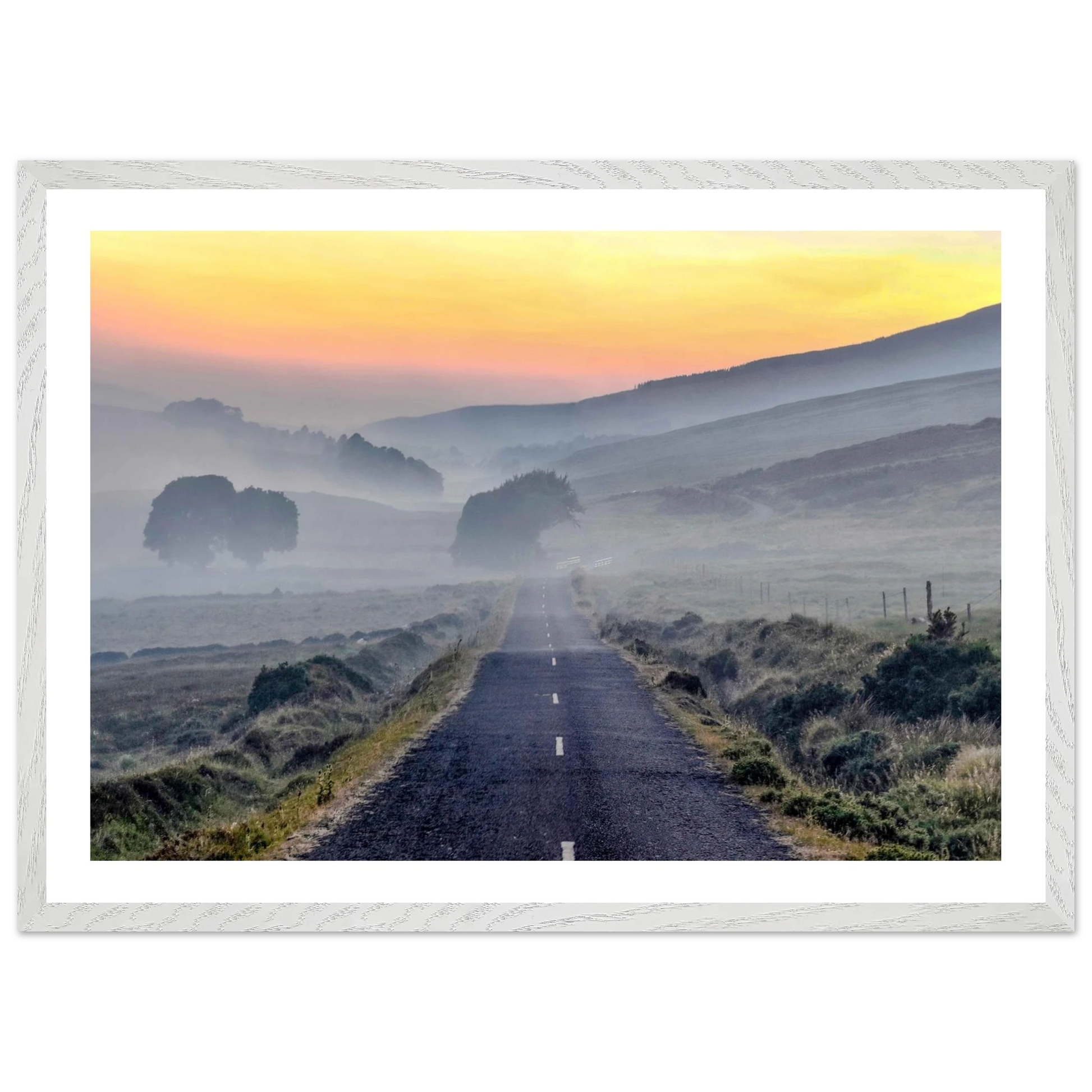 d449098c-fc9d-4a4a-8567-11ea1f268ea3