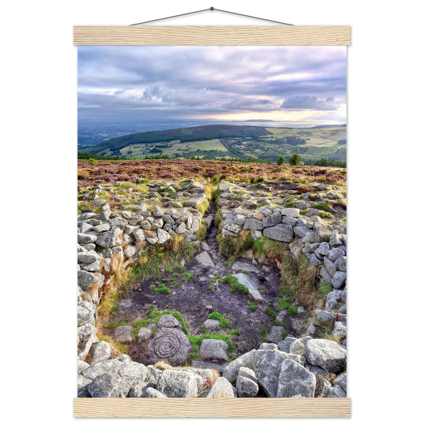 d46df93f-2a64-4140-bde2-f960b50be88d