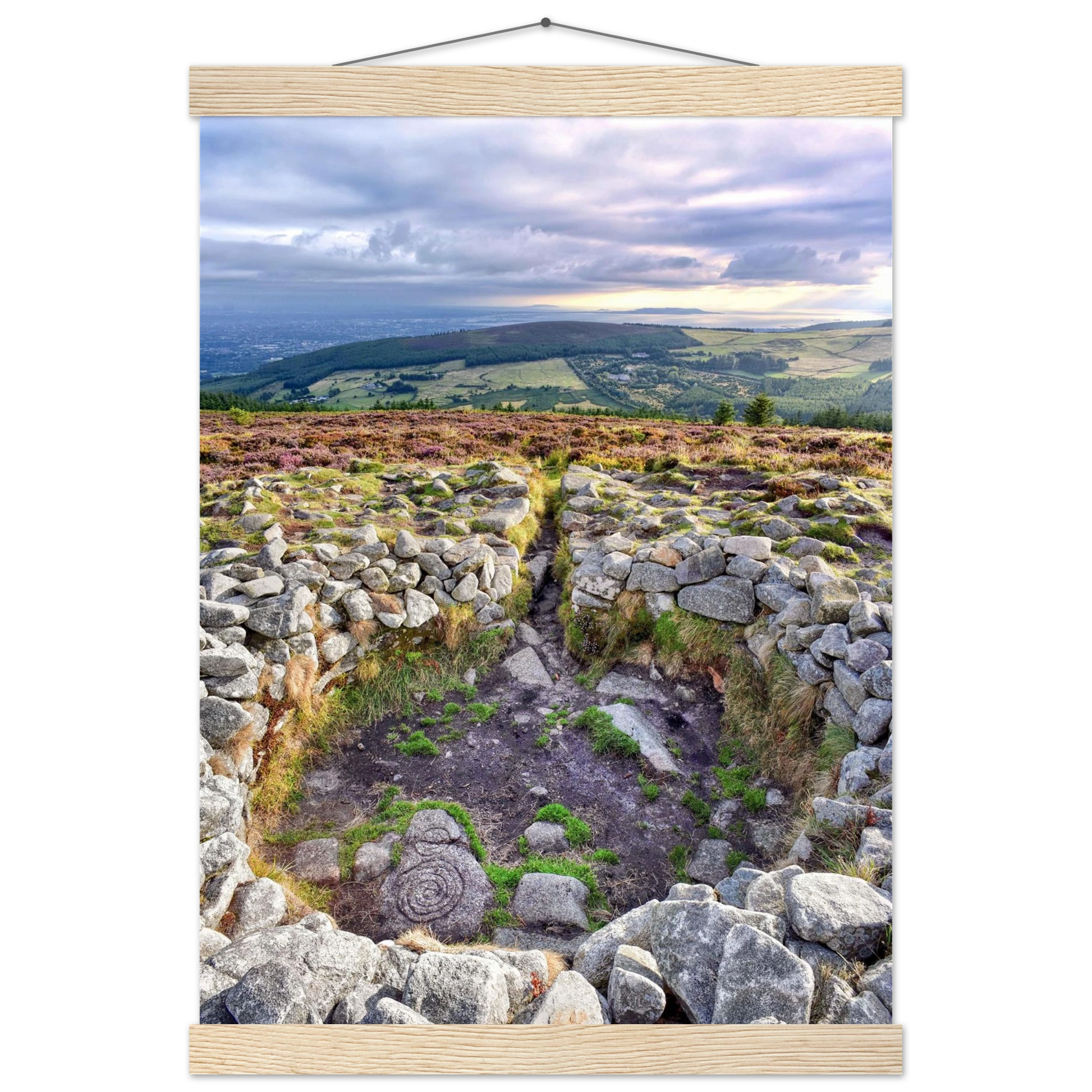 d46df93f-2a64-4140-bde2-f960b50be88d