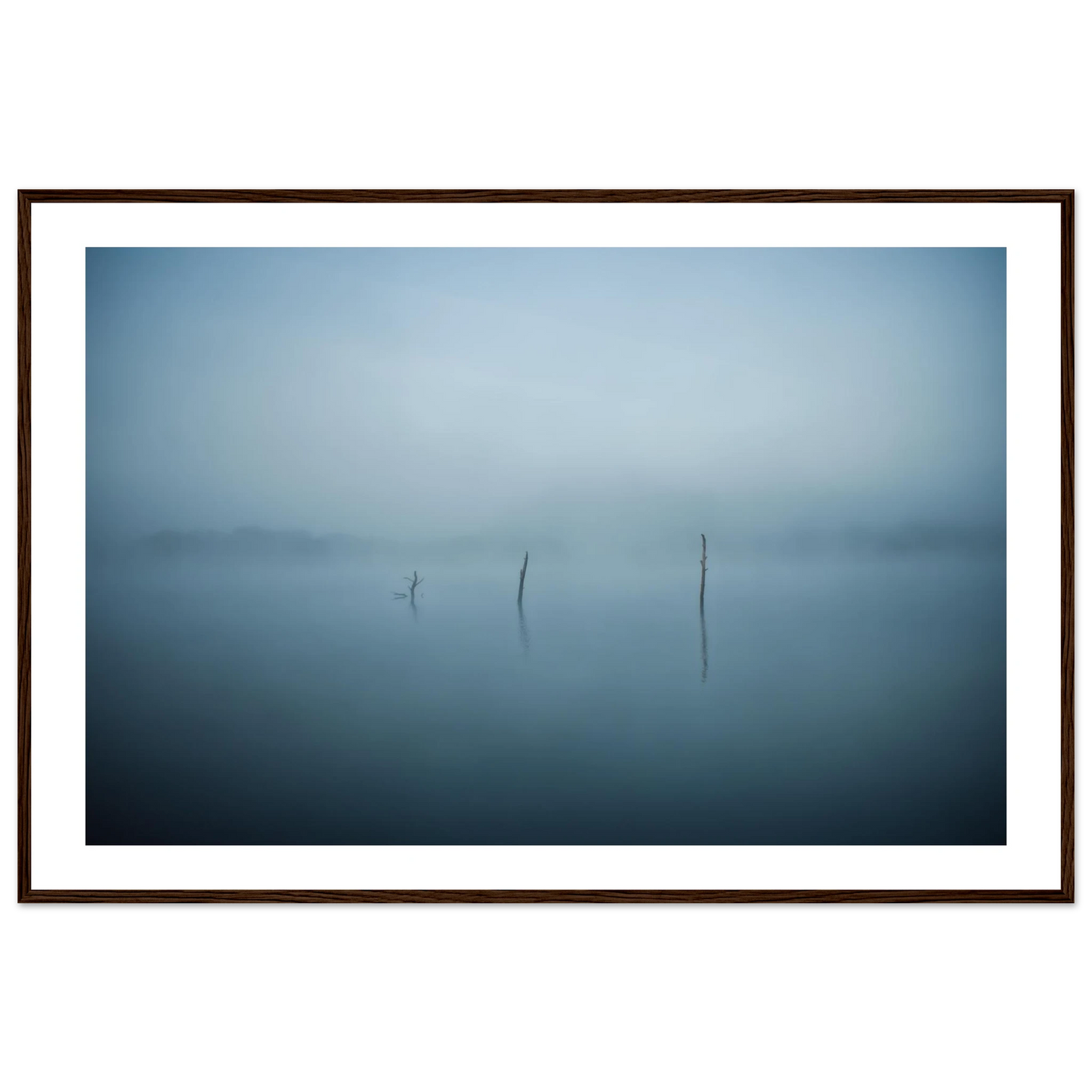 d4ad1f55-90e5-4950-b33e-81df9baa865d