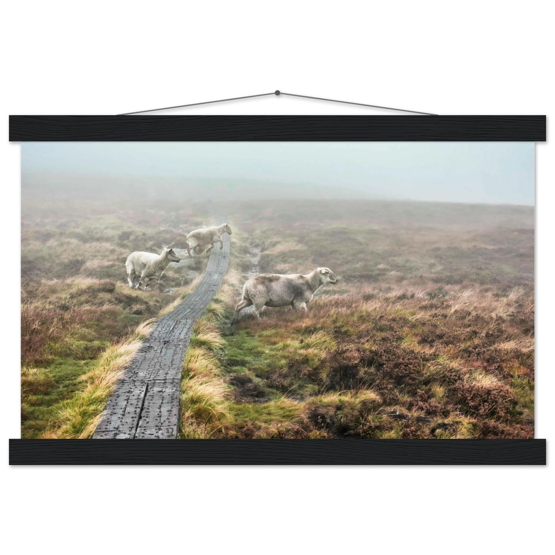 d4e8025e-1fe8-4b01-8c98-c715c2831e0b