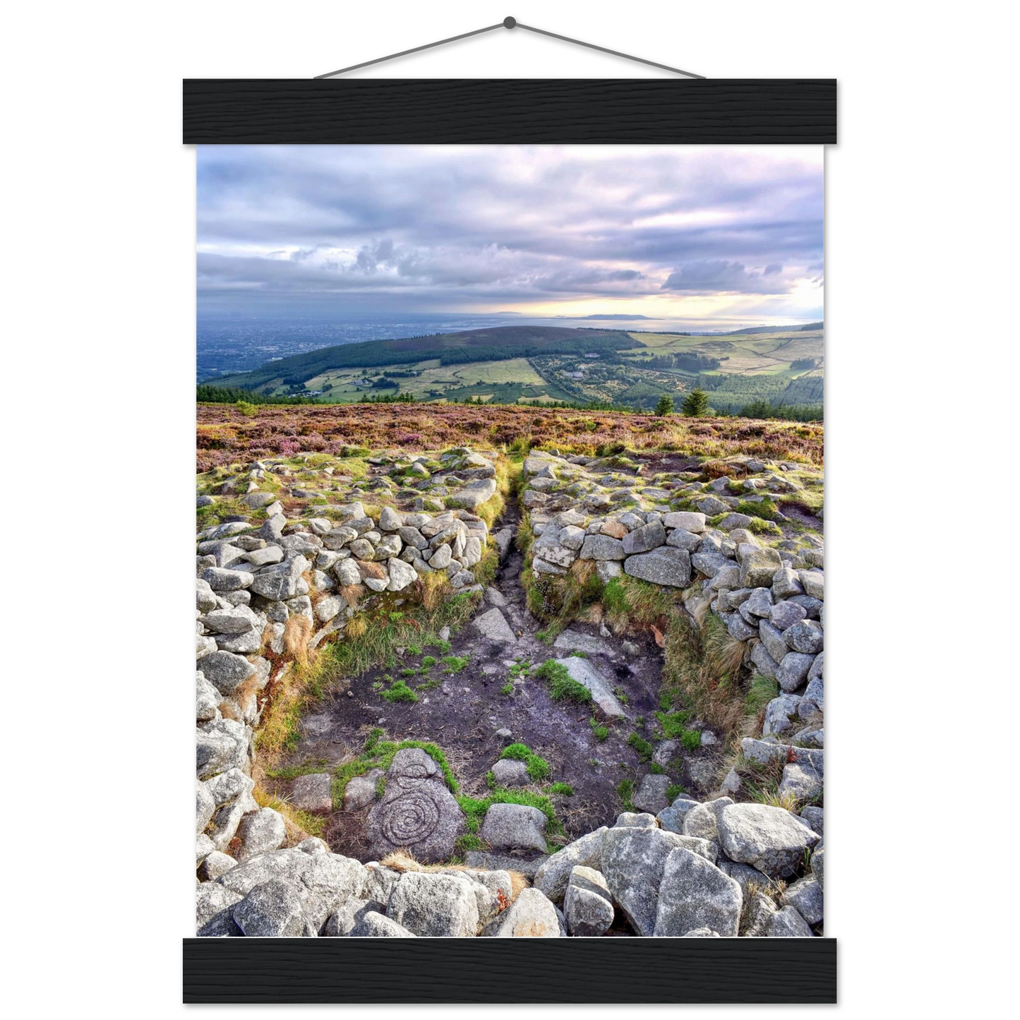 d5110909-1ae1-46f8-bd7c-32e7675c8fb8