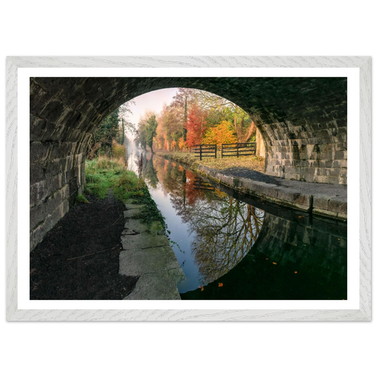 d53f2ba3-809b-4b5b-abce-dc237a9977c8