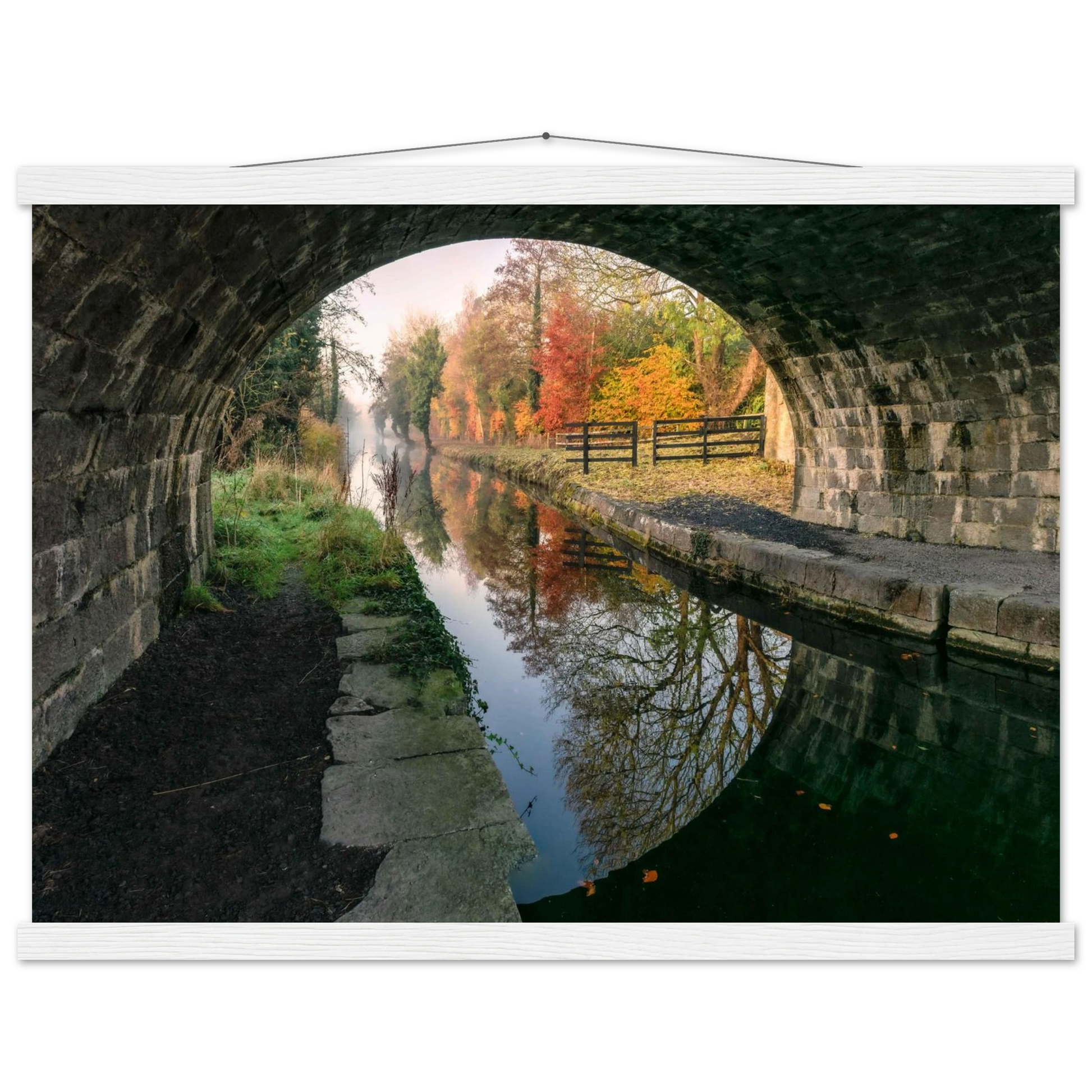 d54760fa-b45f-47b1-9c5f-d87a400bd7ab