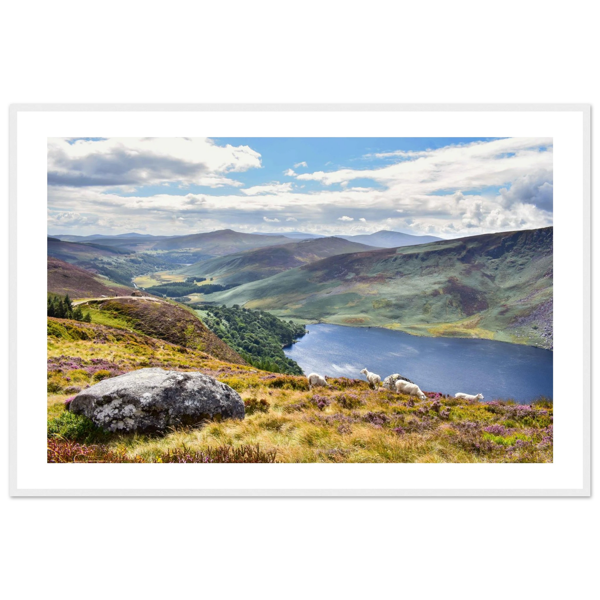 d5a501d2-bddb-4327-8f5c-471a2b18ac0a