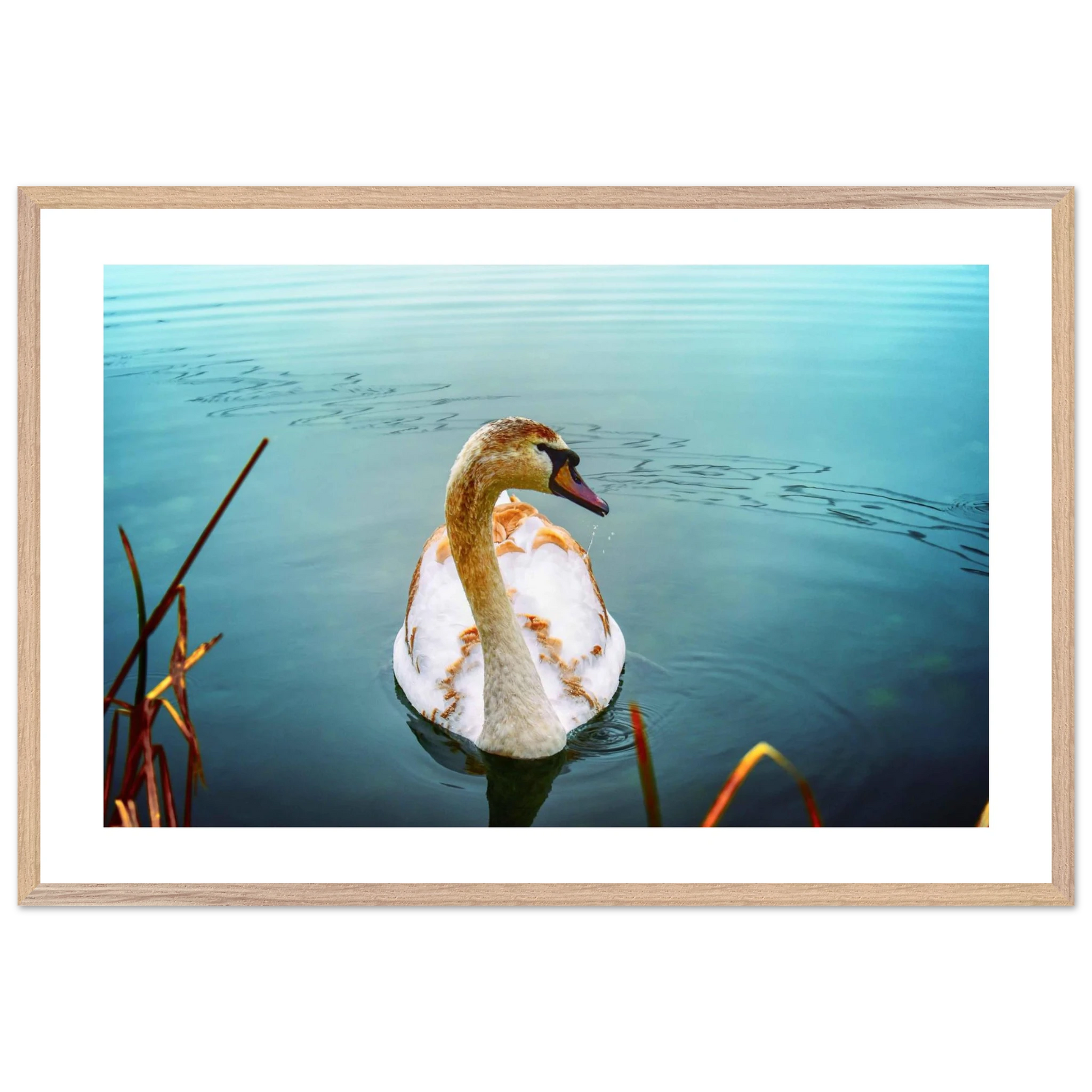 d5aaa155-b56d-48f4-89cc-04d35be5eac1