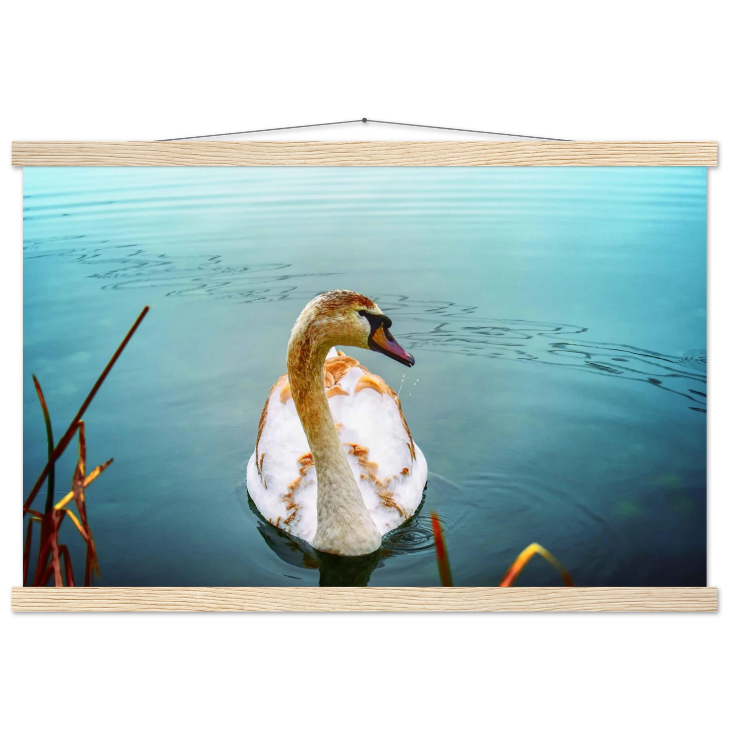 d5bbf97a-6ffb-4edc-92e3-82cd7e6e9631