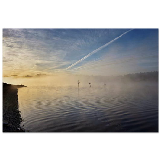 d618503c-28f1-4e9d-a10f-3a5d27efee42