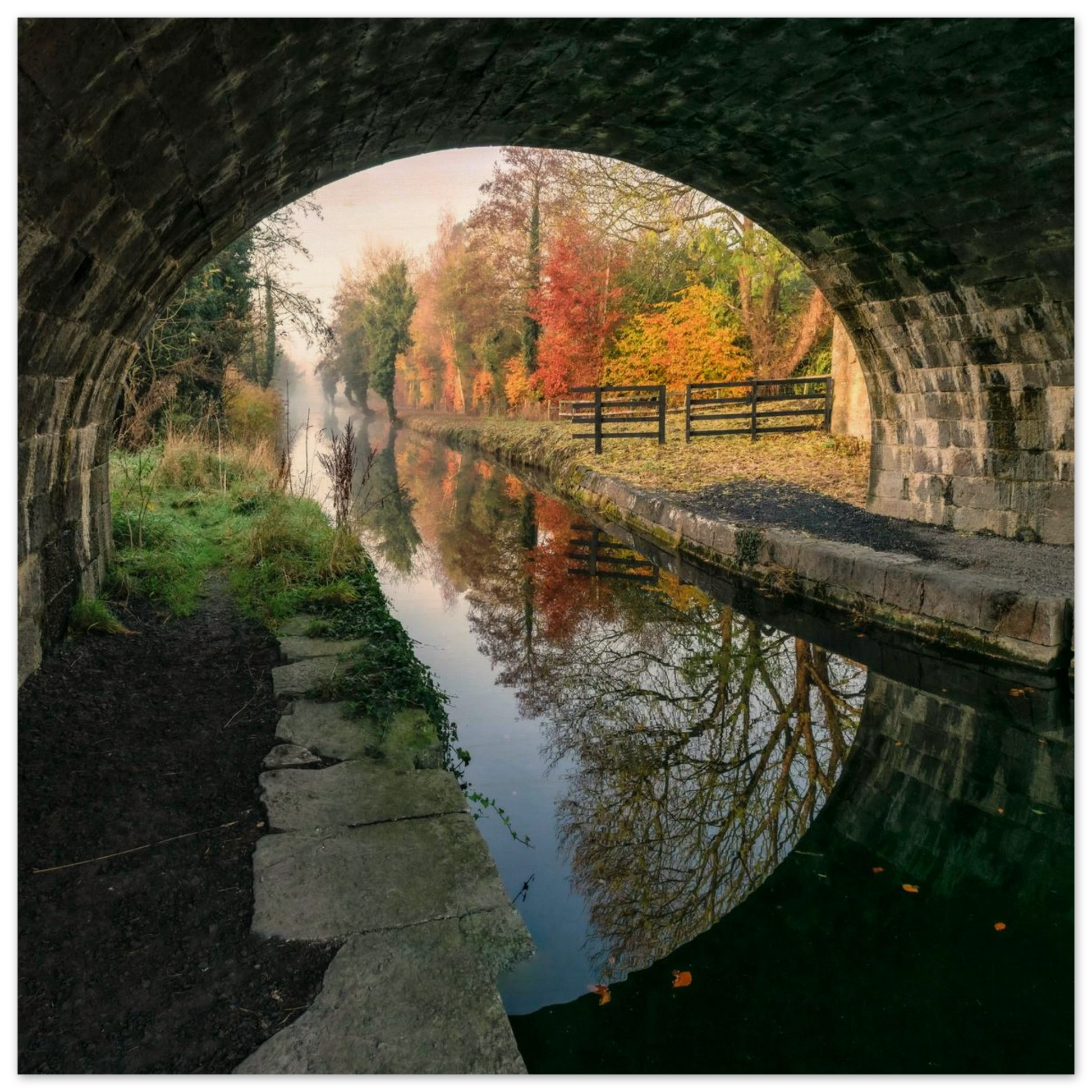 d64db7b7-9df7-454d-8aab-073612ce2088