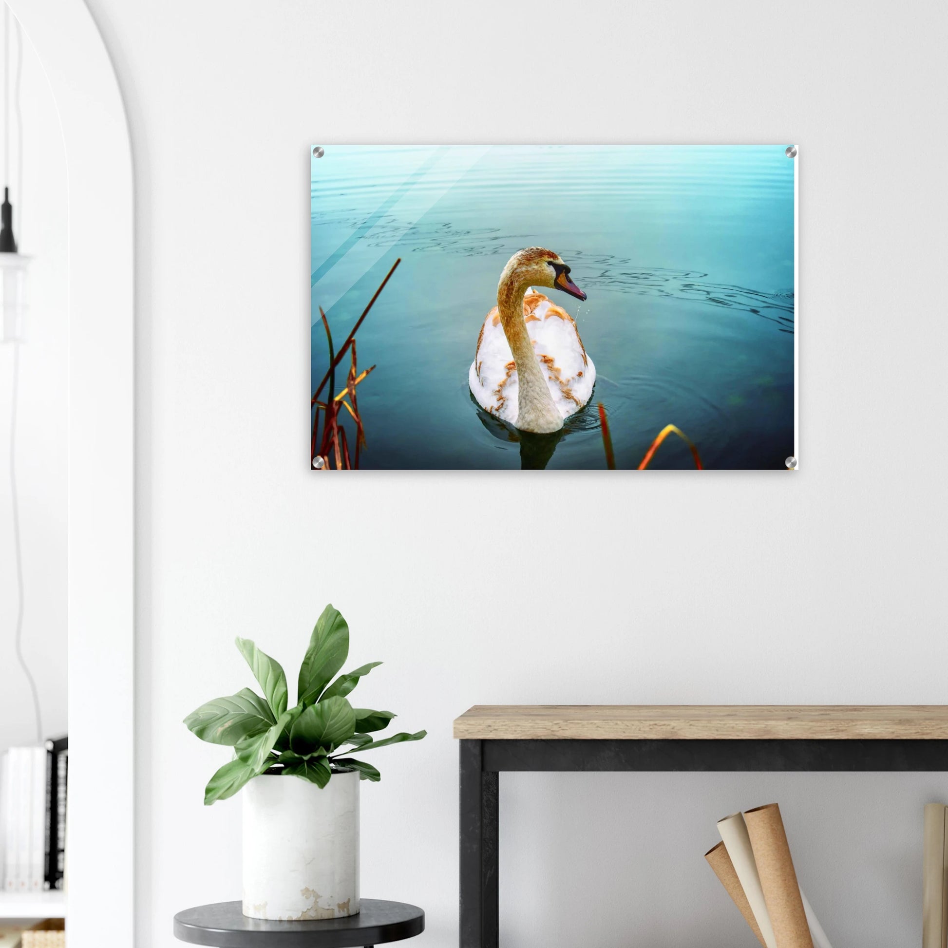 d69e82b7-64c9-45ea-9506-ab11da155fcd