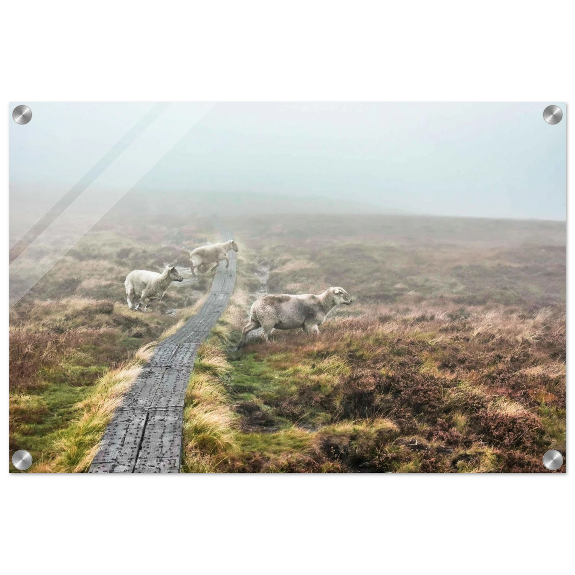 d6ba8804-701b-4bbe-b28b-833ff88c112b