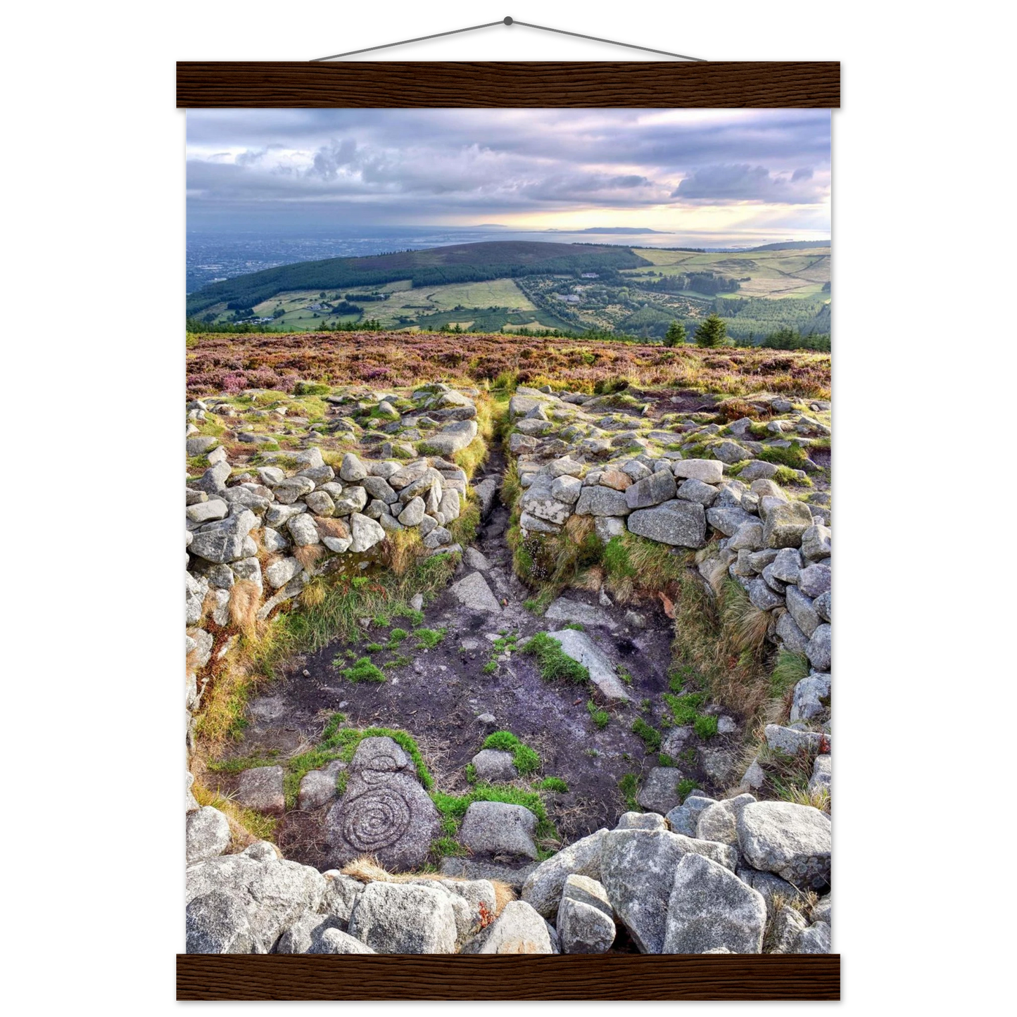 d72839af-3a96-4901-8265-0e5ef83e811d